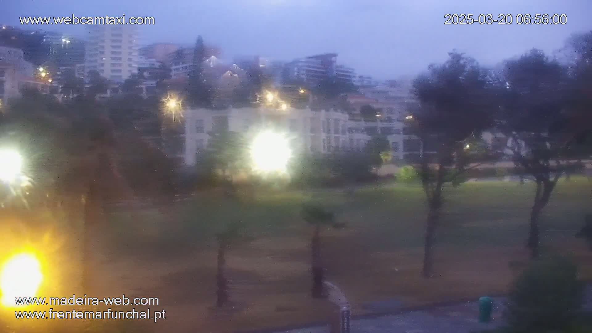 A blurry view of apartment buildings and trees on a rainy evening, with lights illuminating the scene.