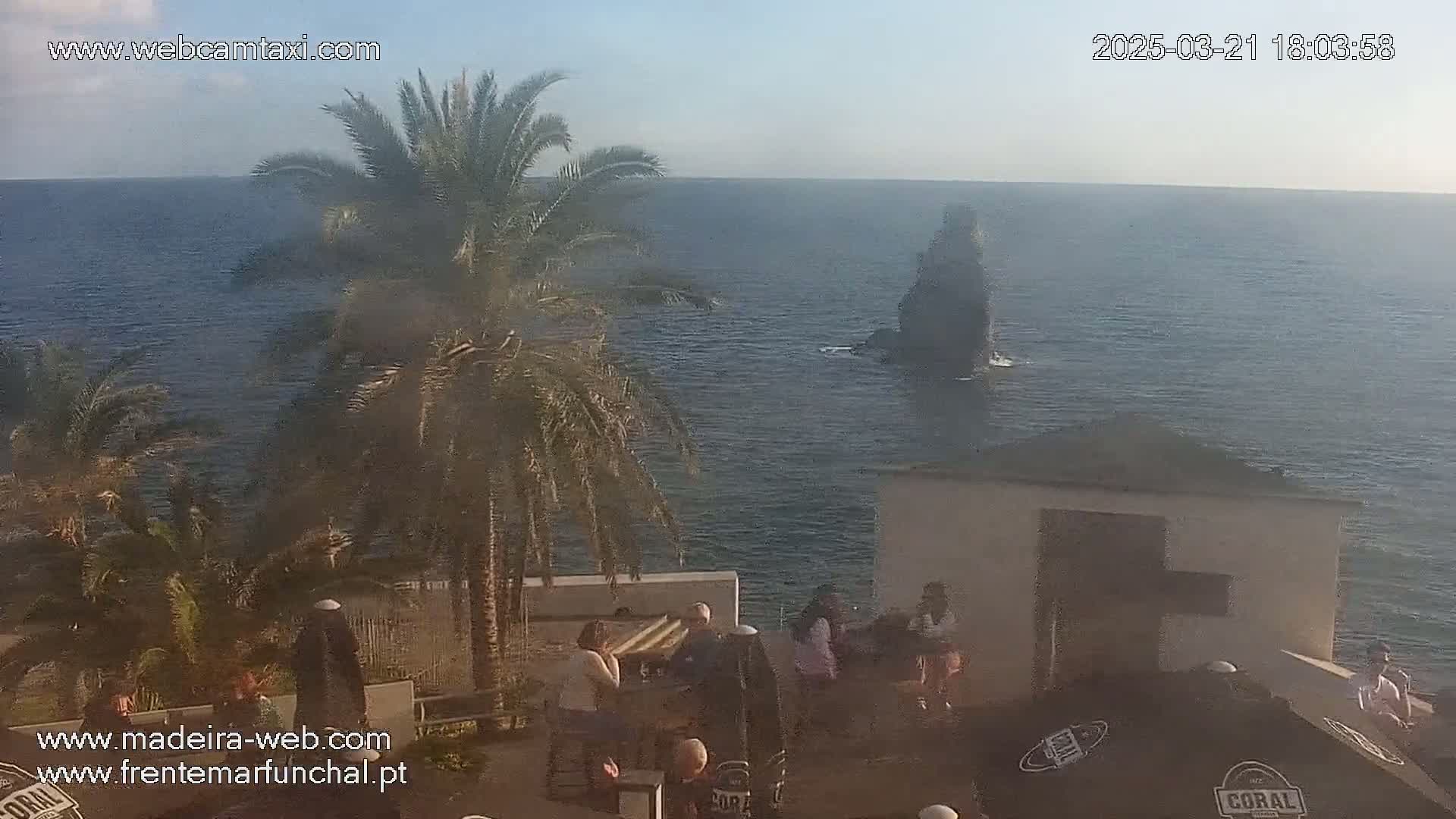 An outdoor patio overlooking a calm ocean with a dark rock formation in the distance, partially shaded by palm trees, with several people sitting at tables.