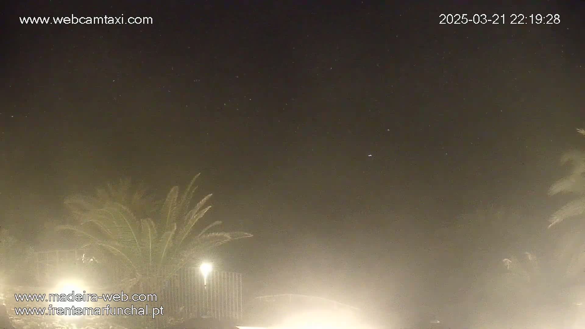 A nighttime scene shows a hazy sky with a few stars visible above palm trees and a fence, illuminated by lights.