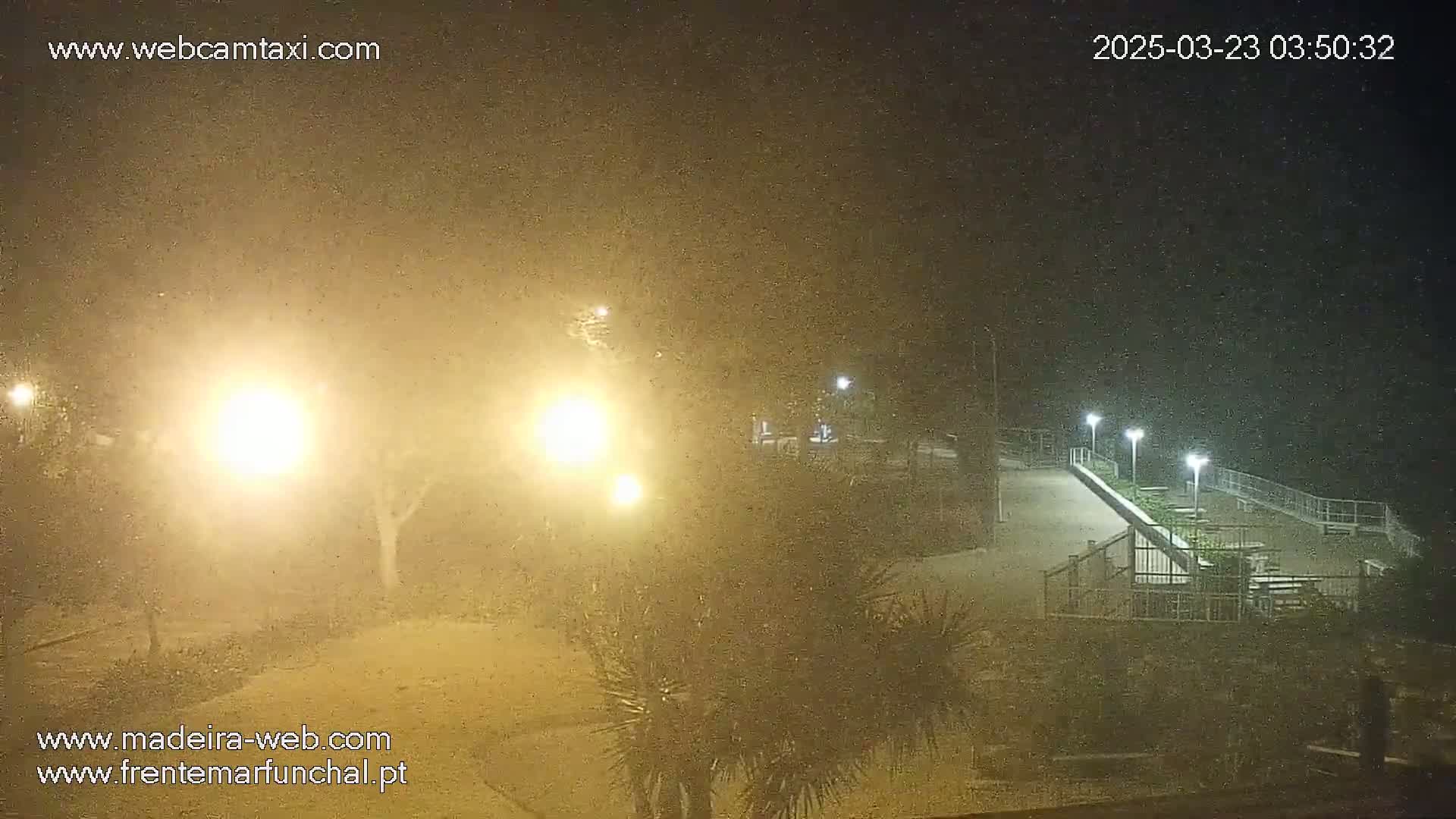 A nighttime view of a park-like area with hazy or foggy conditions, showing illuminated pathways, trees, and some outdoor seating.
