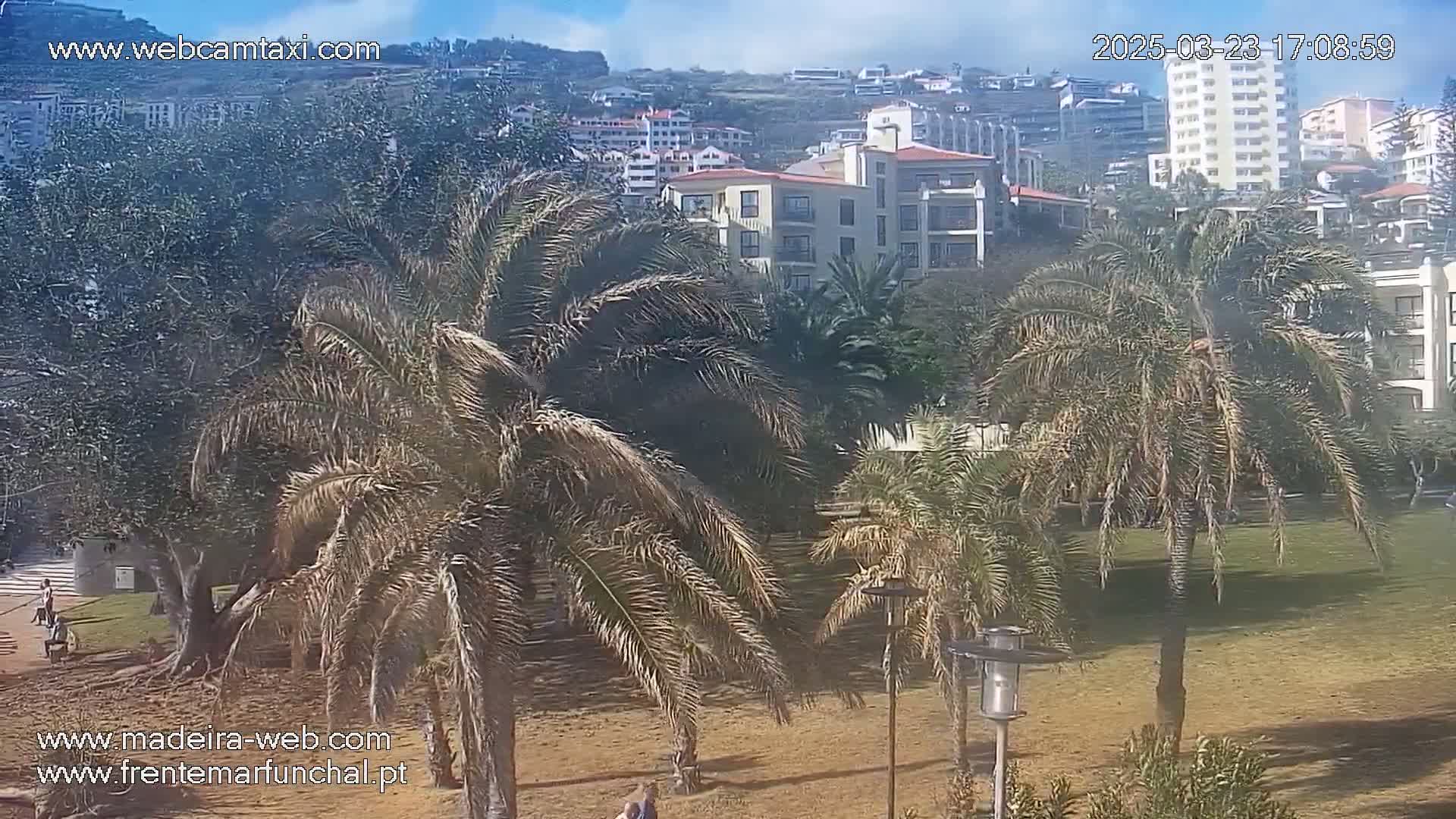 Palm trees and buildings are visible on a sunny day, with a grassy area in the foreground.