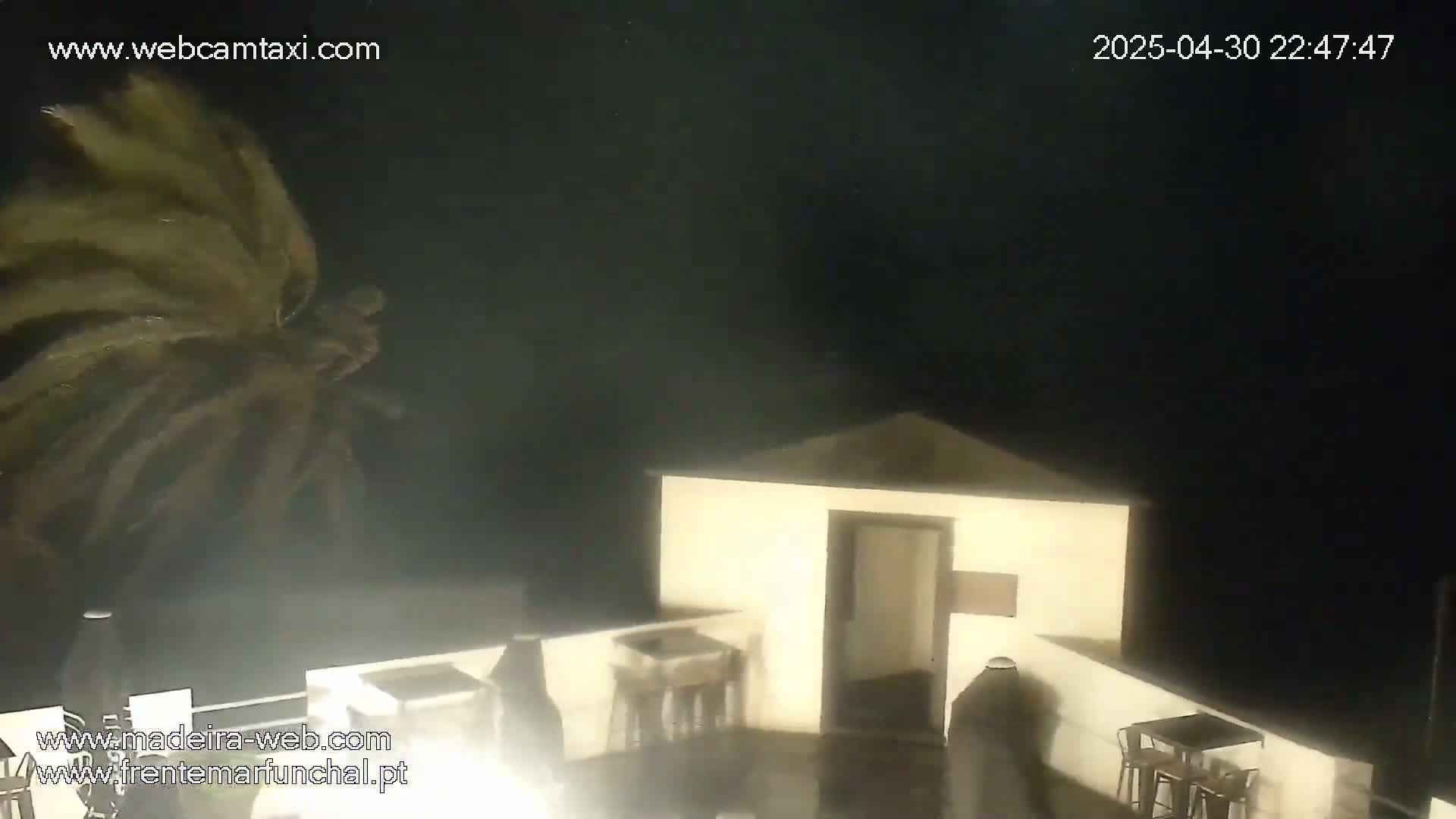 A palm tree sways violently in the wind at night next to a small, light-colored building with a patio and furniture.