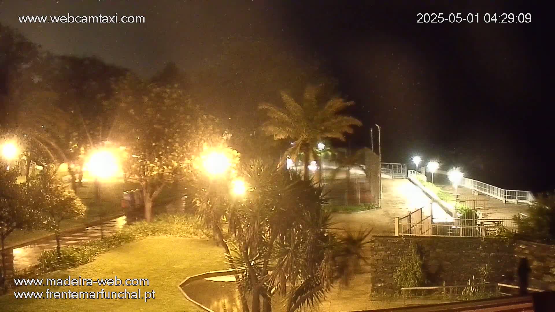 A nighttime view of a park-like area with palm trees and lights, overlooking a paved walkway and railing that extends toward a dark body of water under lightly drizzling conditions.
