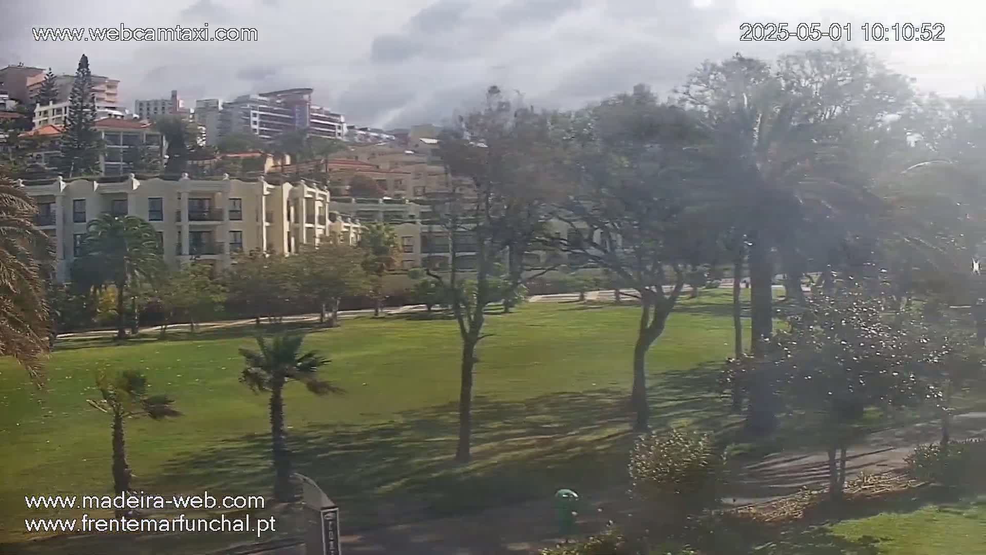 A grassy park with palm trees and apartment buildings on a hill in the background under a partly cloudy sky.