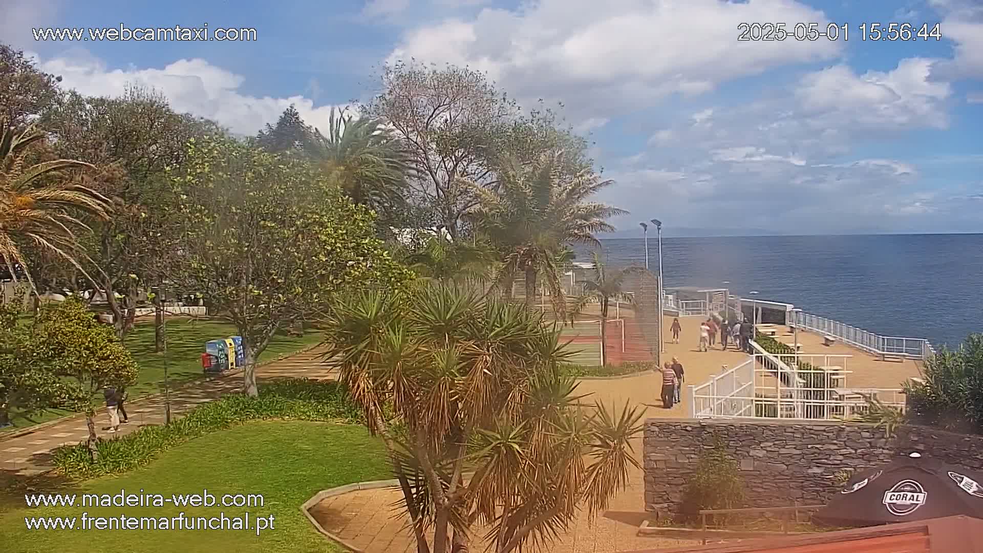 A seaside park with palm trees and people walking on a paved path overlooking a calm ocean under a partly cloudy sky.