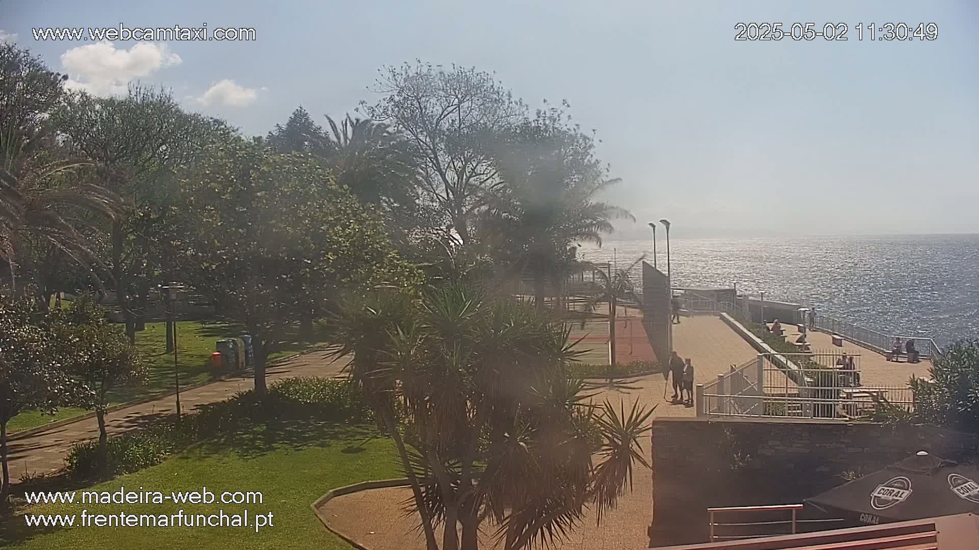 A park with lush greenery and a paved area overlooks a calm ocean under a mostly clear sky.
