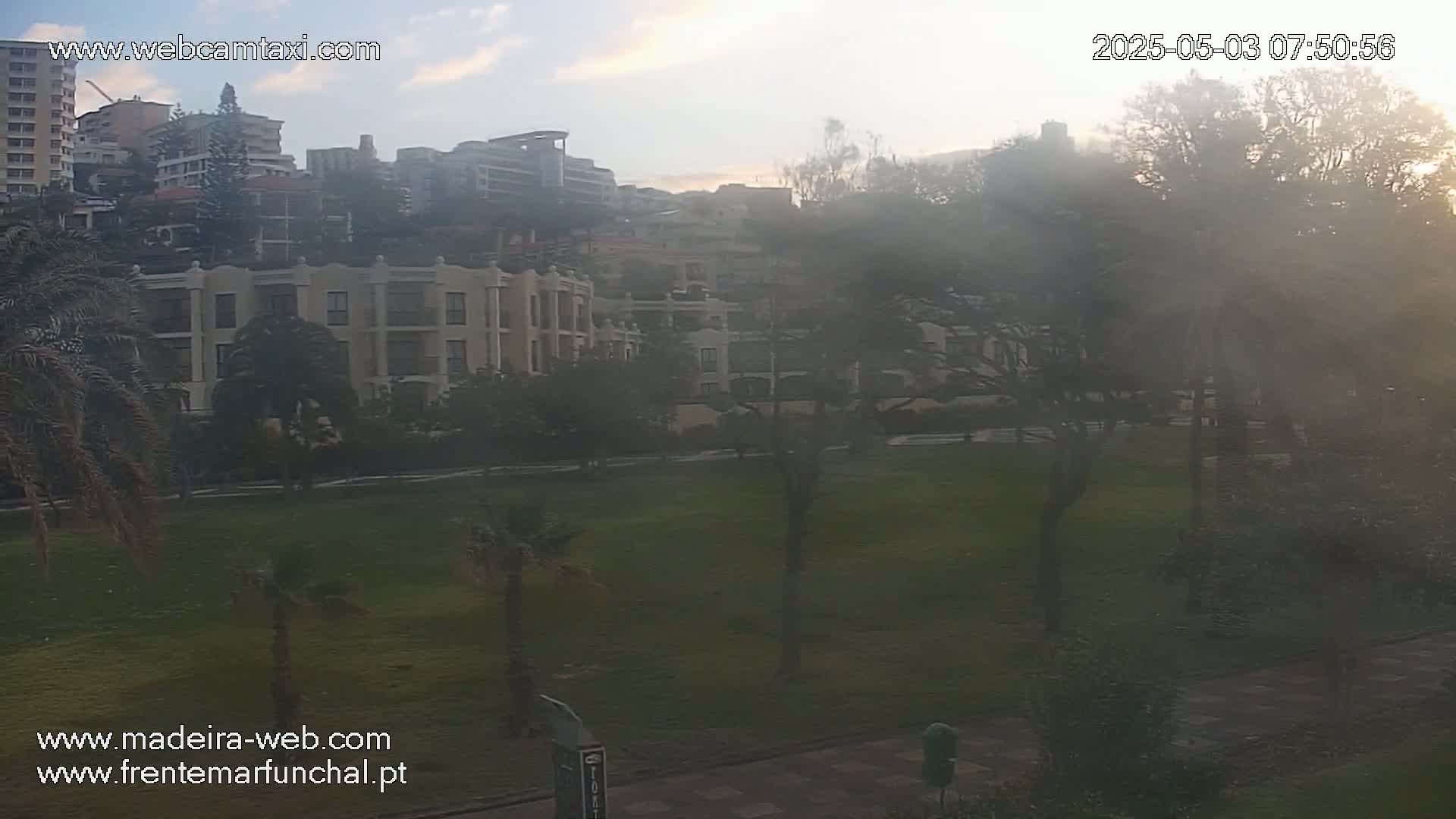 A hazy sunrise illuminates a grassy area with palm trees and apartment buildings in the background.