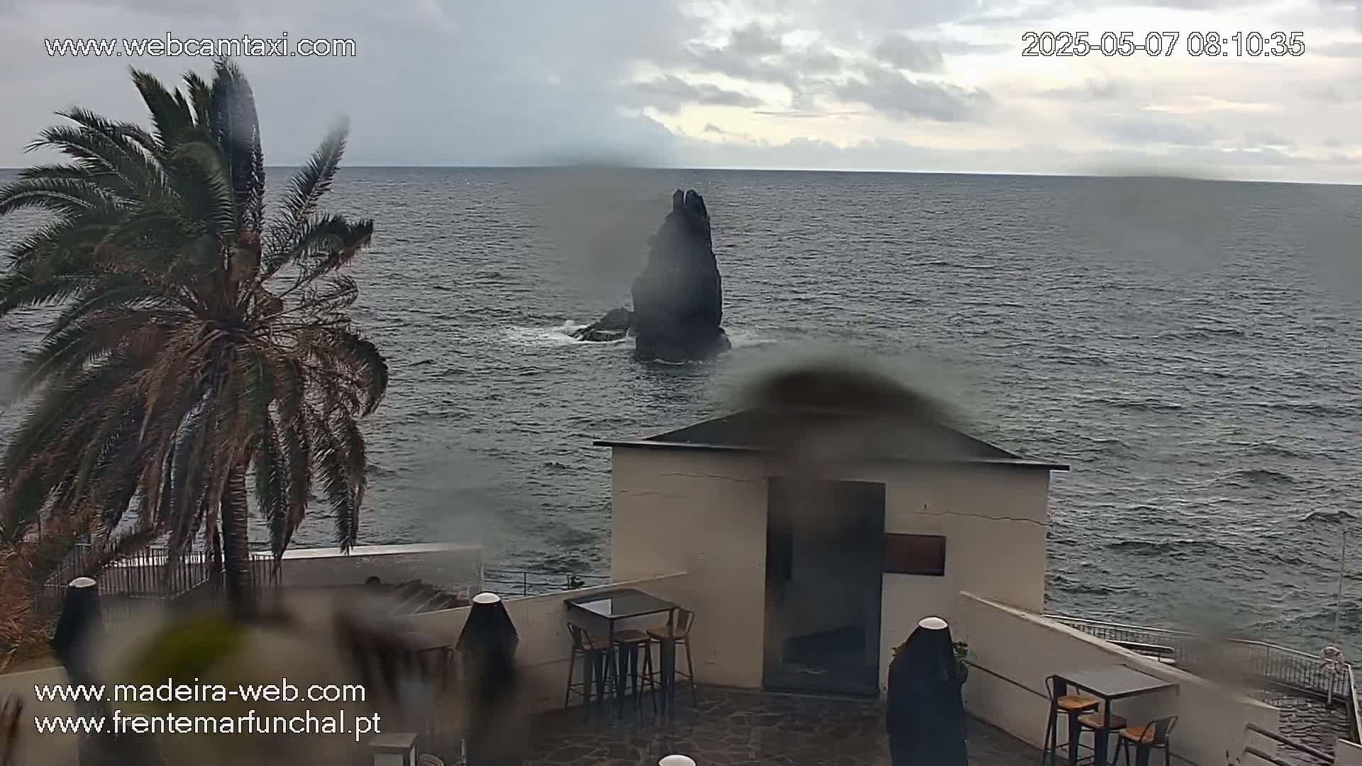 A rain-streaked view shows a dark rock formation in the ocean, seen from a patio area with outdoor furniture near a palm tree.