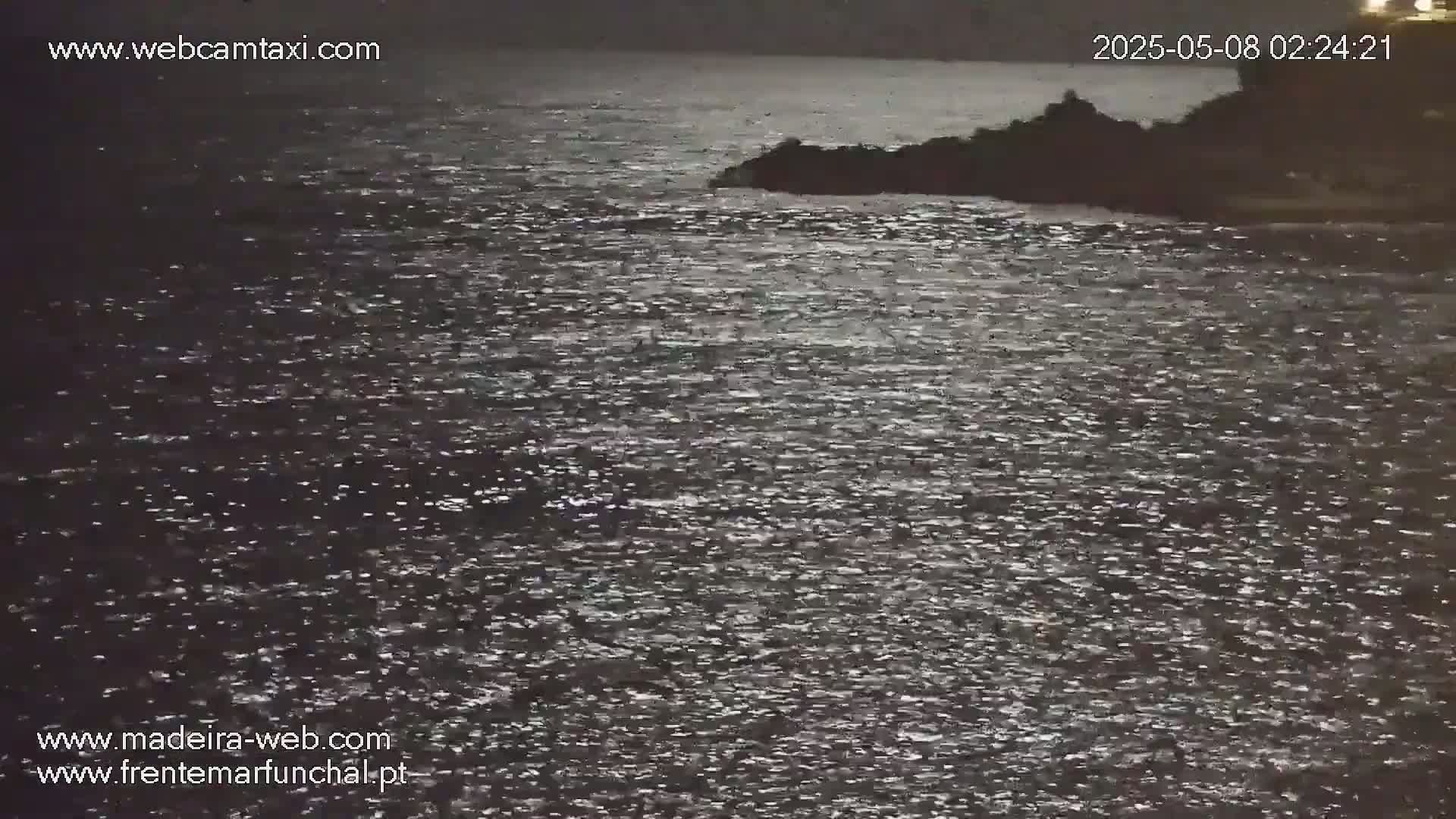 A dark body of water, reflecting light, laps against a darkened shoreline at night.