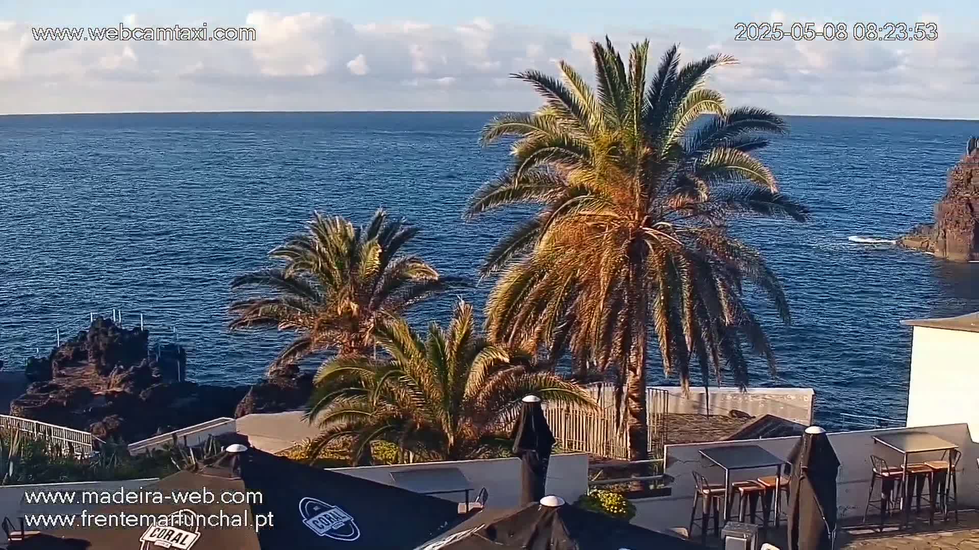 A partly cloudy day reveals a dark blue ocean stretching to the horizon, viewed from an outdoor patio with palm trees and dark-colored patio furniture.