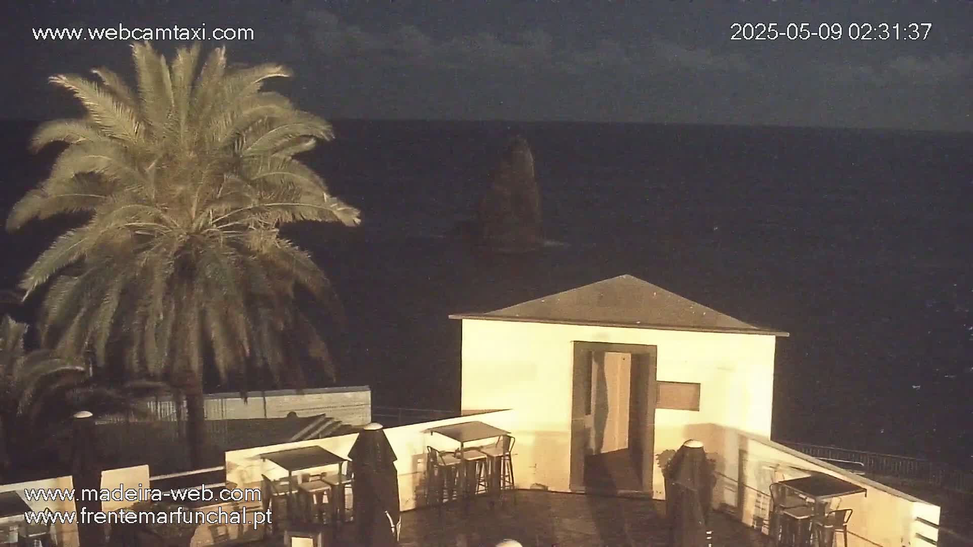 A nighttime view shows a palm tree next to a small, light-colored building with outdoor seating overlooking a dark ocean.