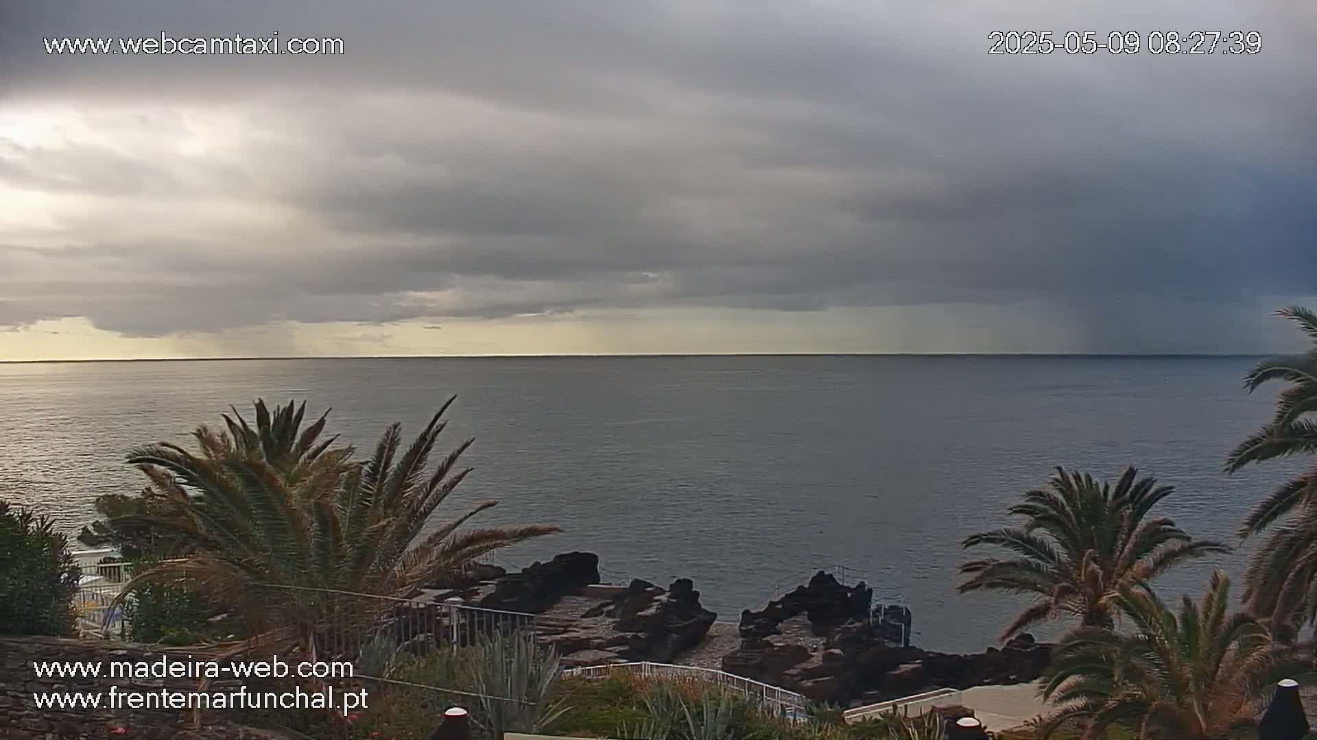 A mostly cloudy sky hangs over a calm ocean, partially obscured by palm trees in the foreground and dark rocks near the water's edge.