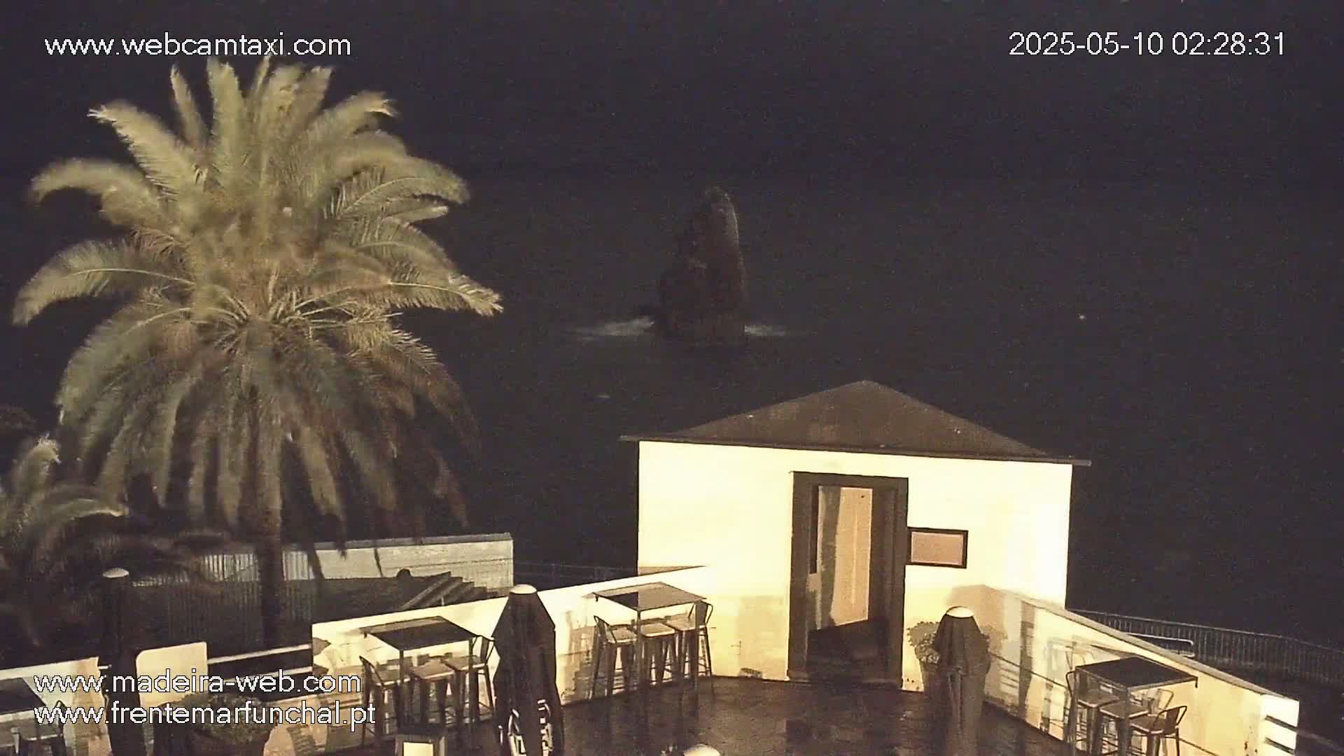 A nighttime outdoor scene shows a palm tree next to a small building with outdoor seating, overlooking a dark body of water with a dark rock formation visible in the distance.