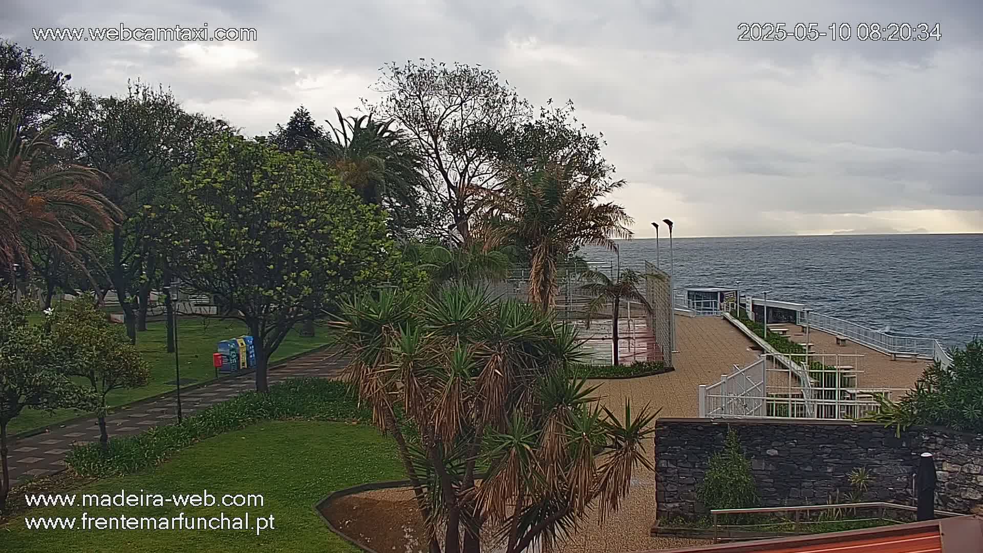 A park with palm trees and other lush vegetation overlooks a paved waterfront area and a calm ocean under a cloudy sky.
