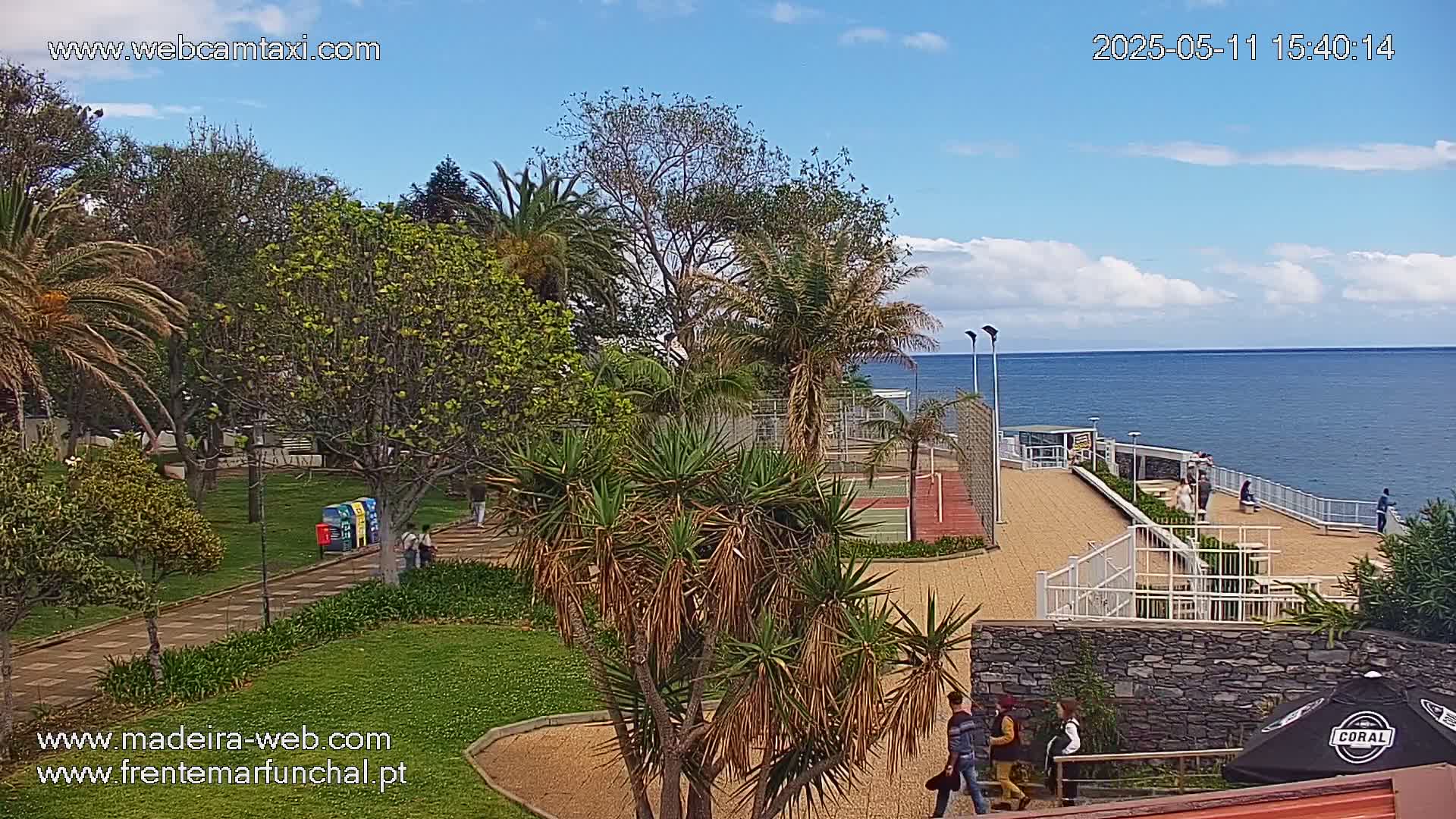 A park with palm trees and a paved area overlooks a calm ocean under a partly cloudy sky.