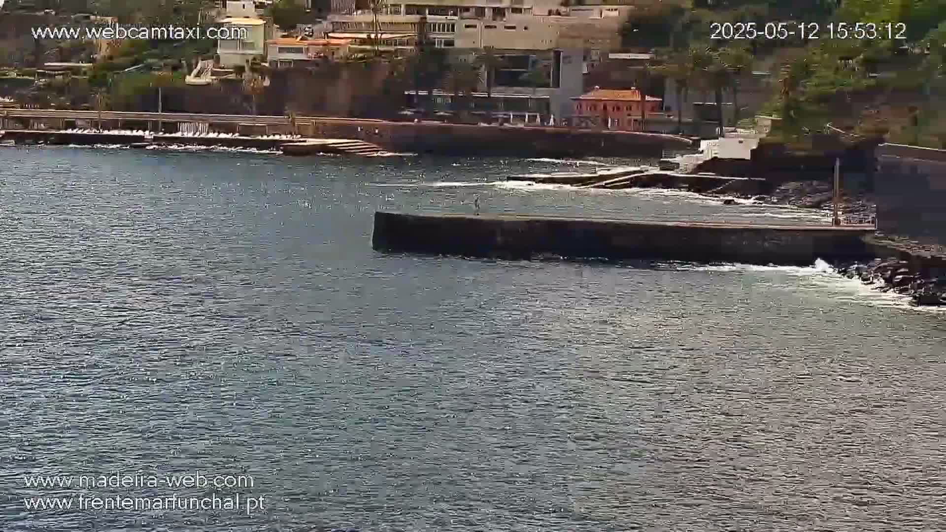 A dark-colored jetty extends into a calm body of water near a shoreline with buildings and vegetation.