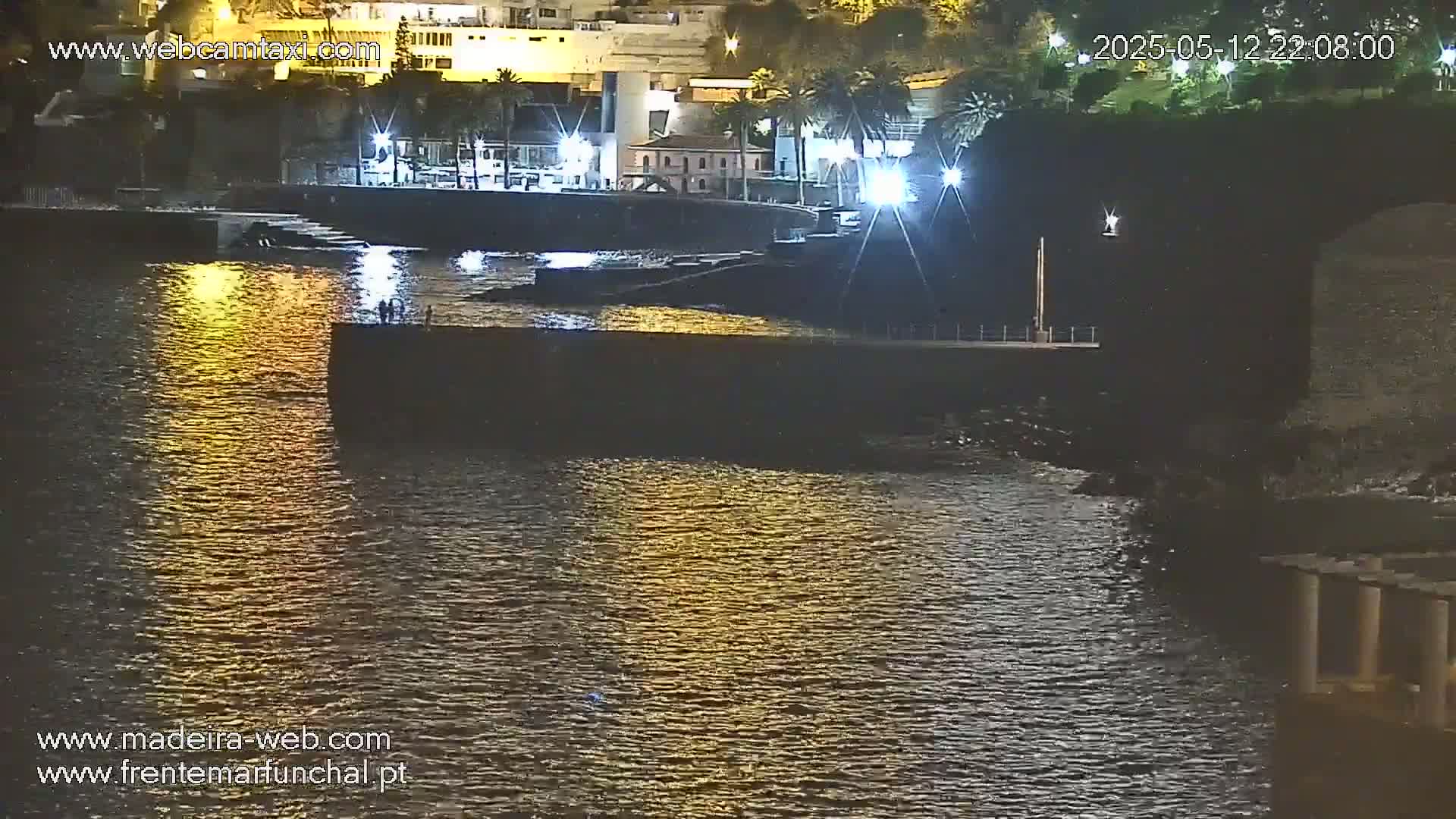 A nighttime view of a calm body of water reflecting lights from a nearby shoreline with buildings and palm trees.