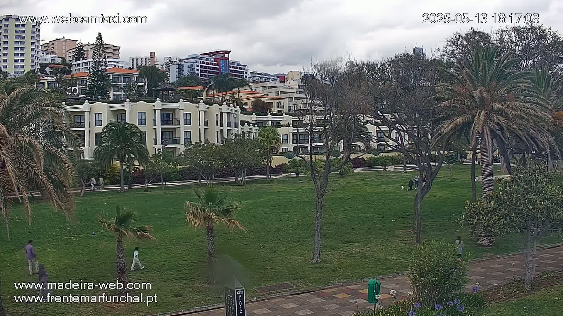 A grassy park with palm trees and several multi-story buildings in the background under a cloudy sky.