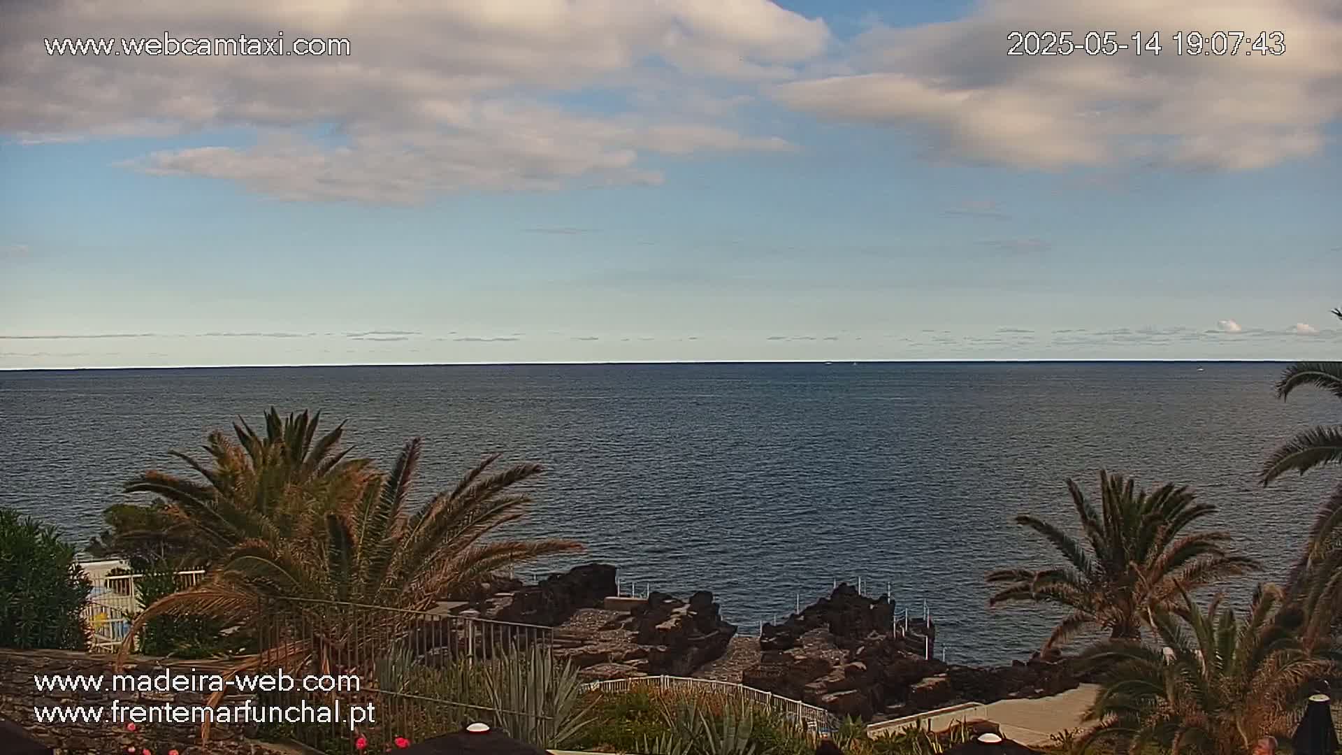 A calm ocean stretches to the horizon under a partly cloudy sky, viewed from a coastal area with palm trees and rocky terrain.