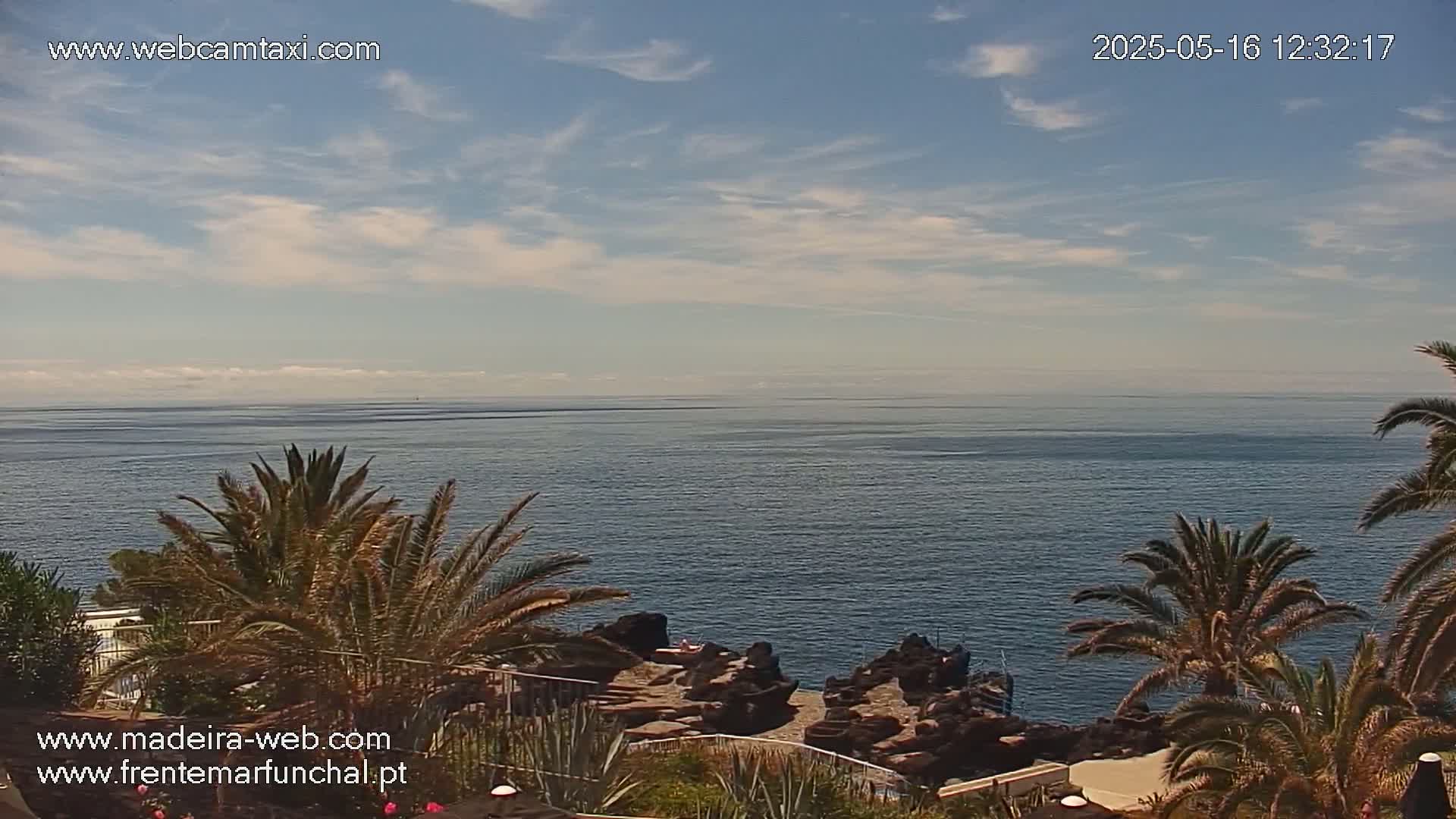 A mostly sunny day reveals a calm ocean viewed from a palm-tree-lined coastal area with dark volcanic rock formations near the water's edge.