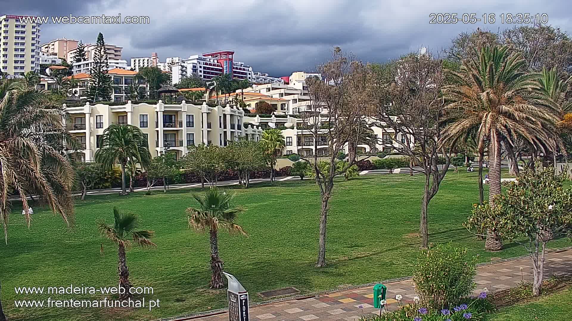 A grassy park with palm trees and other greenery sits in front of several multi-story buildings under a cloudy sky.