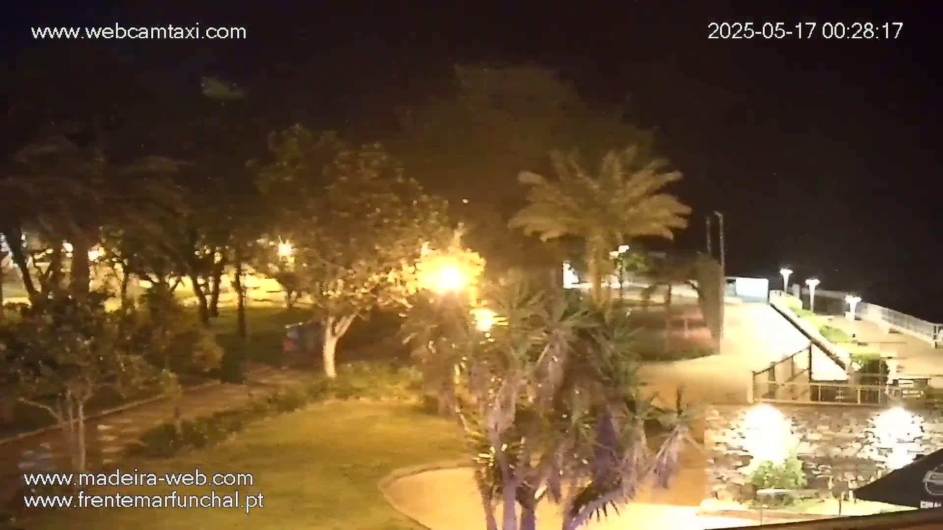 A nighttime view of a park-like area with palm trees and streetlights, near a paved walkway and a stone wall, under a clear sky.