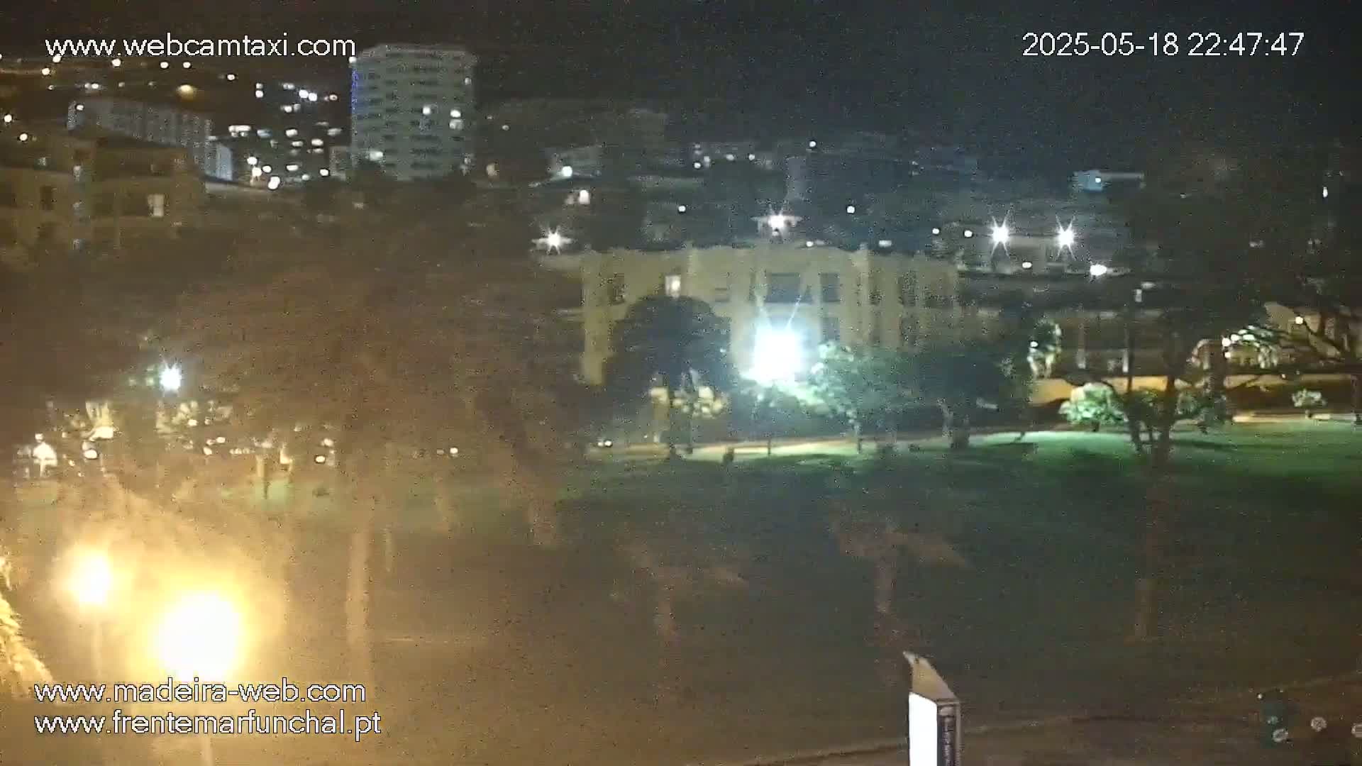 A nighttime long shot shows a park with a large building and city lights in the background under a clear, dark sky.