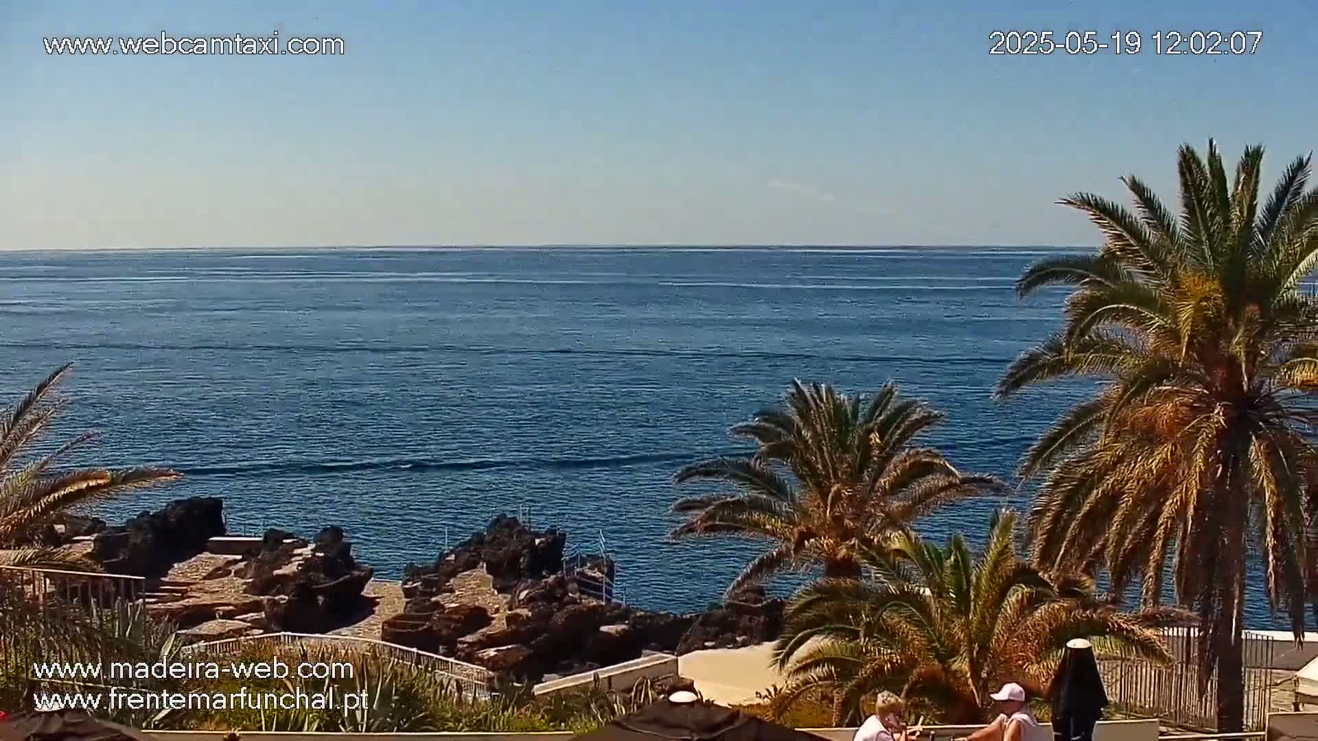 A calm ocean stretches to the horizon under a clear sky, viewed from an elevated position amongst palm trees and rocky shoreline.