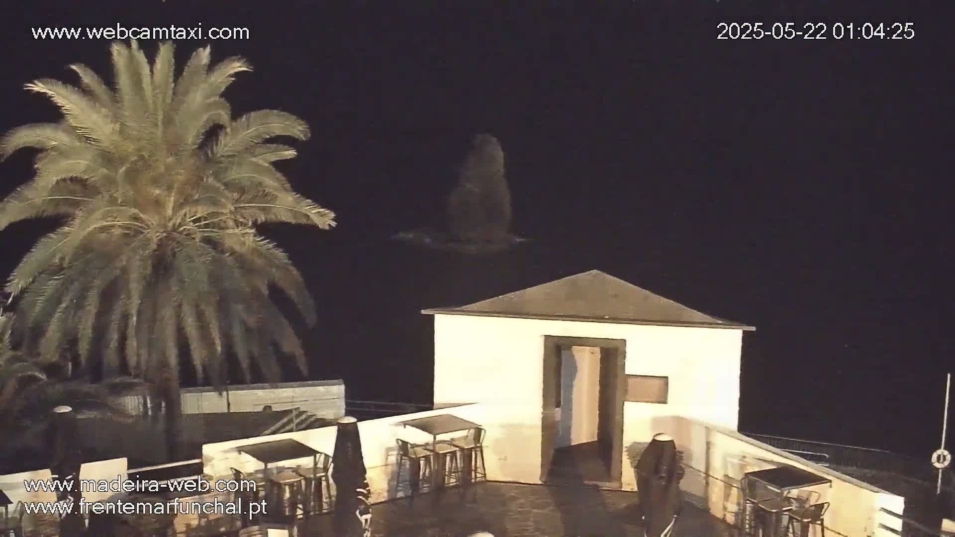 A nighttime view shows a palm tree next to a small, white building with outdoor seating overlooking dark water.