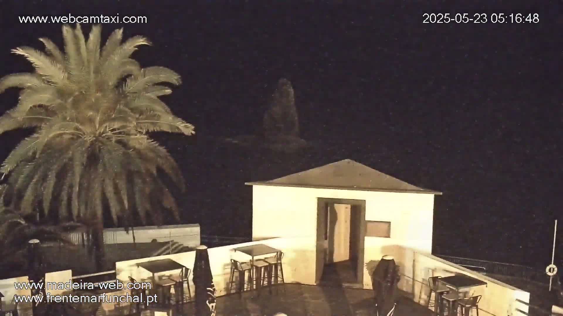 A nighttime scene shows a palm tree next to a small, white building with outdoor seating on a patio overlooking a dark body of water under a slightly hazy sky.
