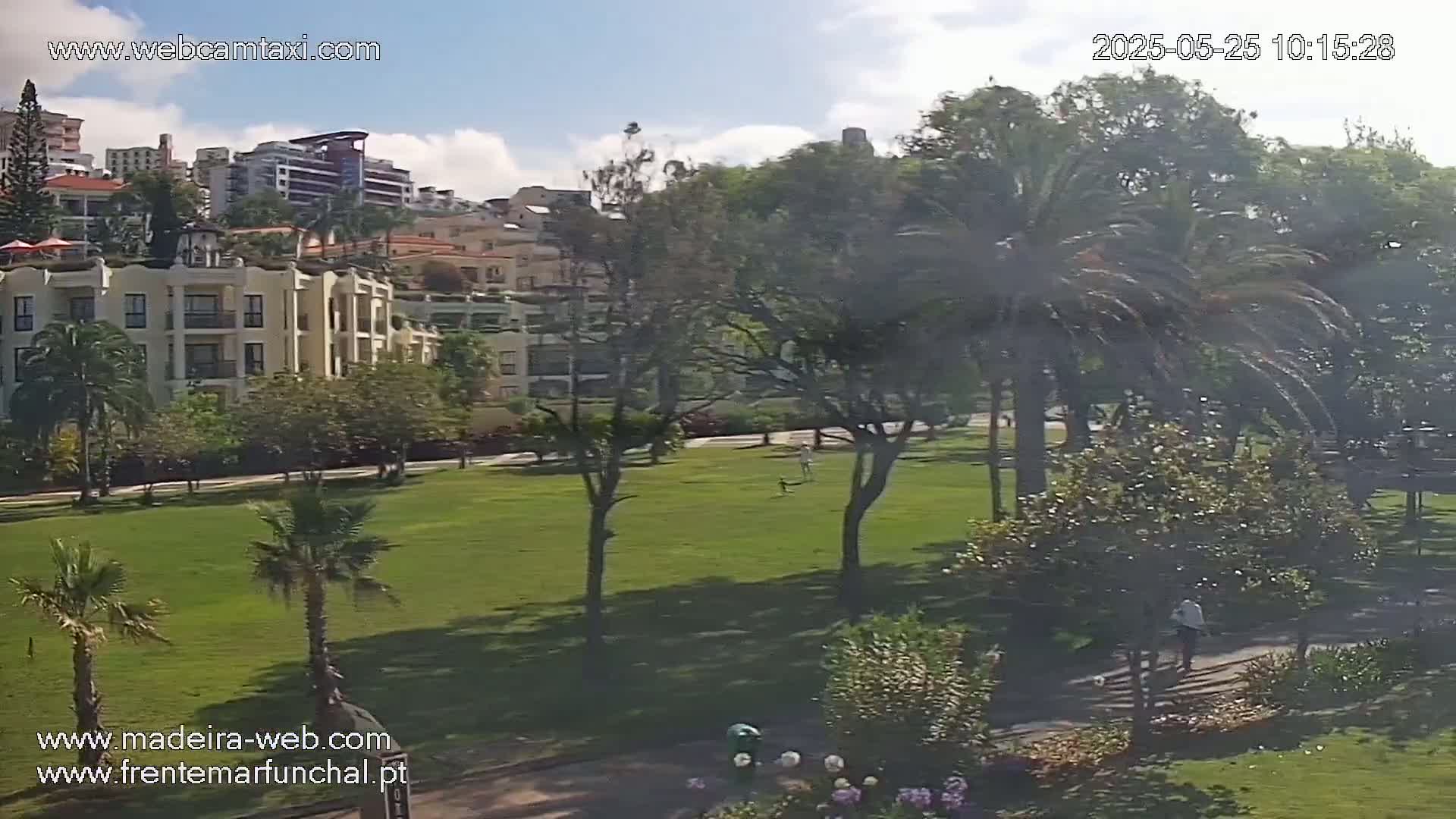 A grassy park with palm trees and apartment buildings in the background under a partly cloudy sky.