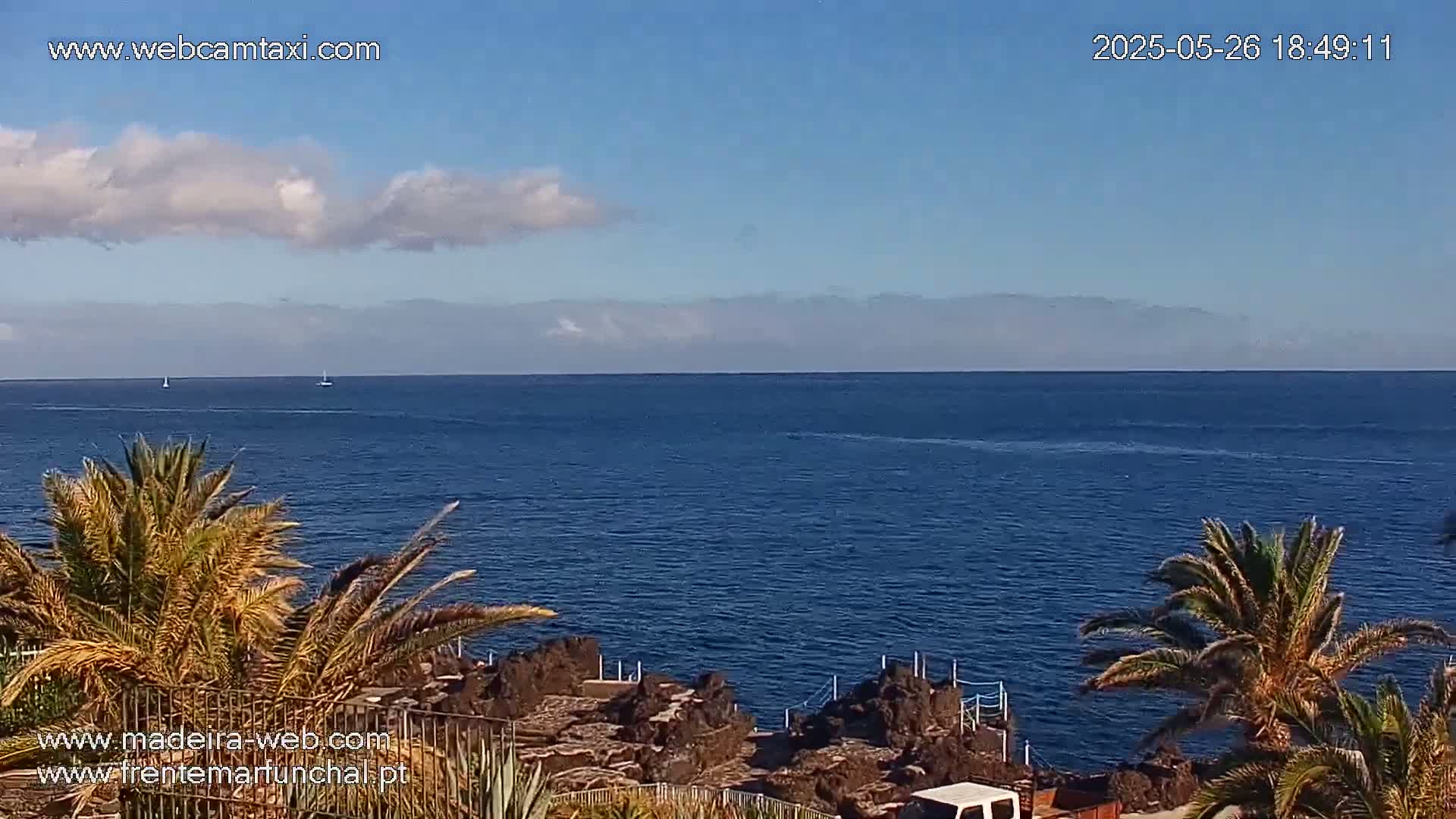 A calm, blue ocean is seen from a coastal viewpoint with palm trees in the foreground under a partly cloudy sky.