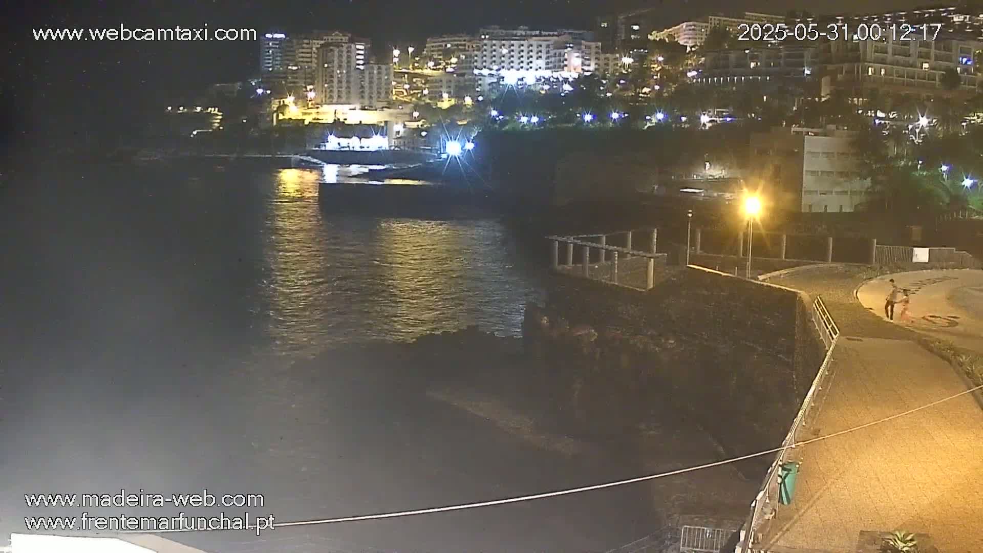 A nighttime view of a calm body of water next to a dark, rocky shoreline, with buildings and lights visible in the background.