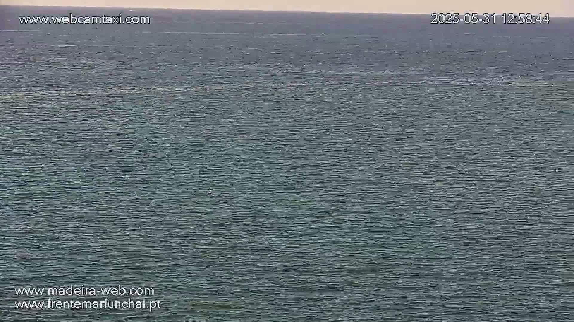 A calm, gray-blue ocean stretches to the horizon under a mostly clear sky.