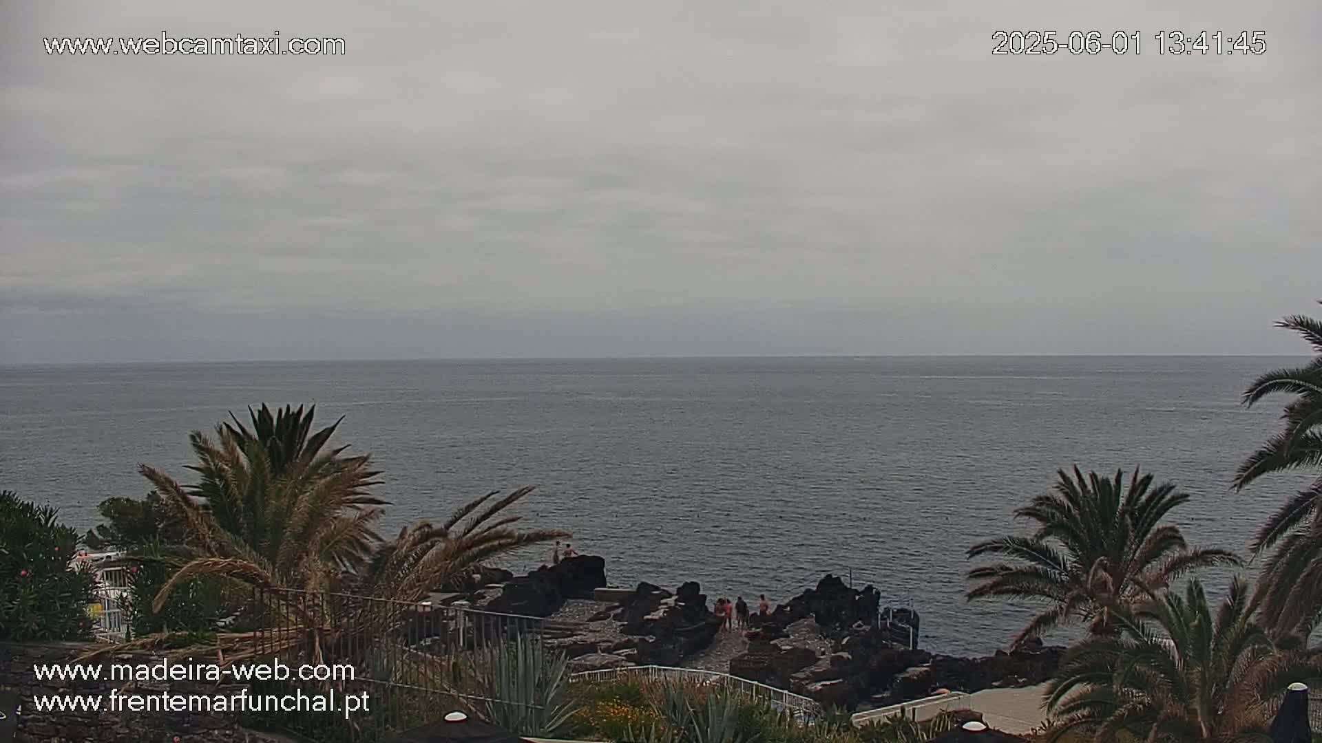 A calm, overcast ocean is visible from an elevated vantage point amidst palm trees and a rocky shoreline where a few people are gathered.