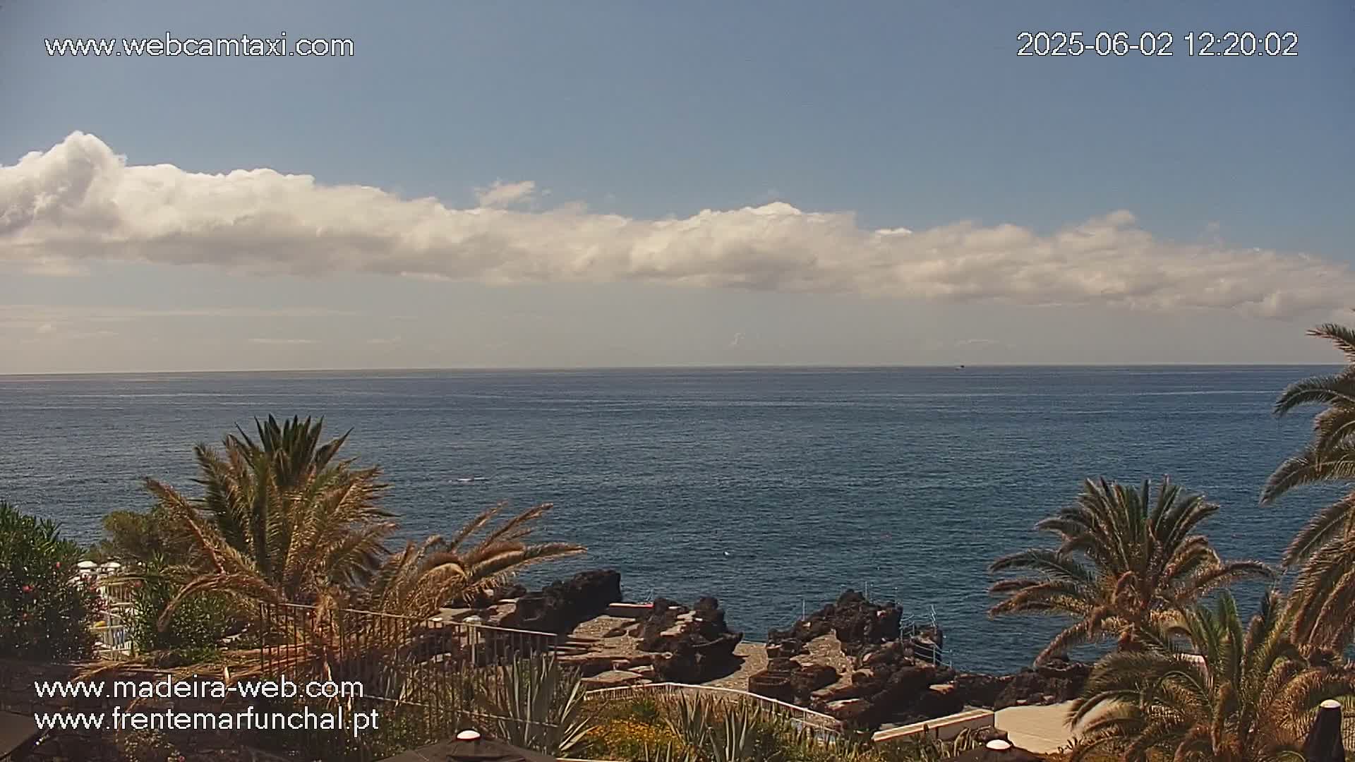 A partly cloudy sky overlooks a calm ocean, viewed from a rocky shore lined with palm trees.