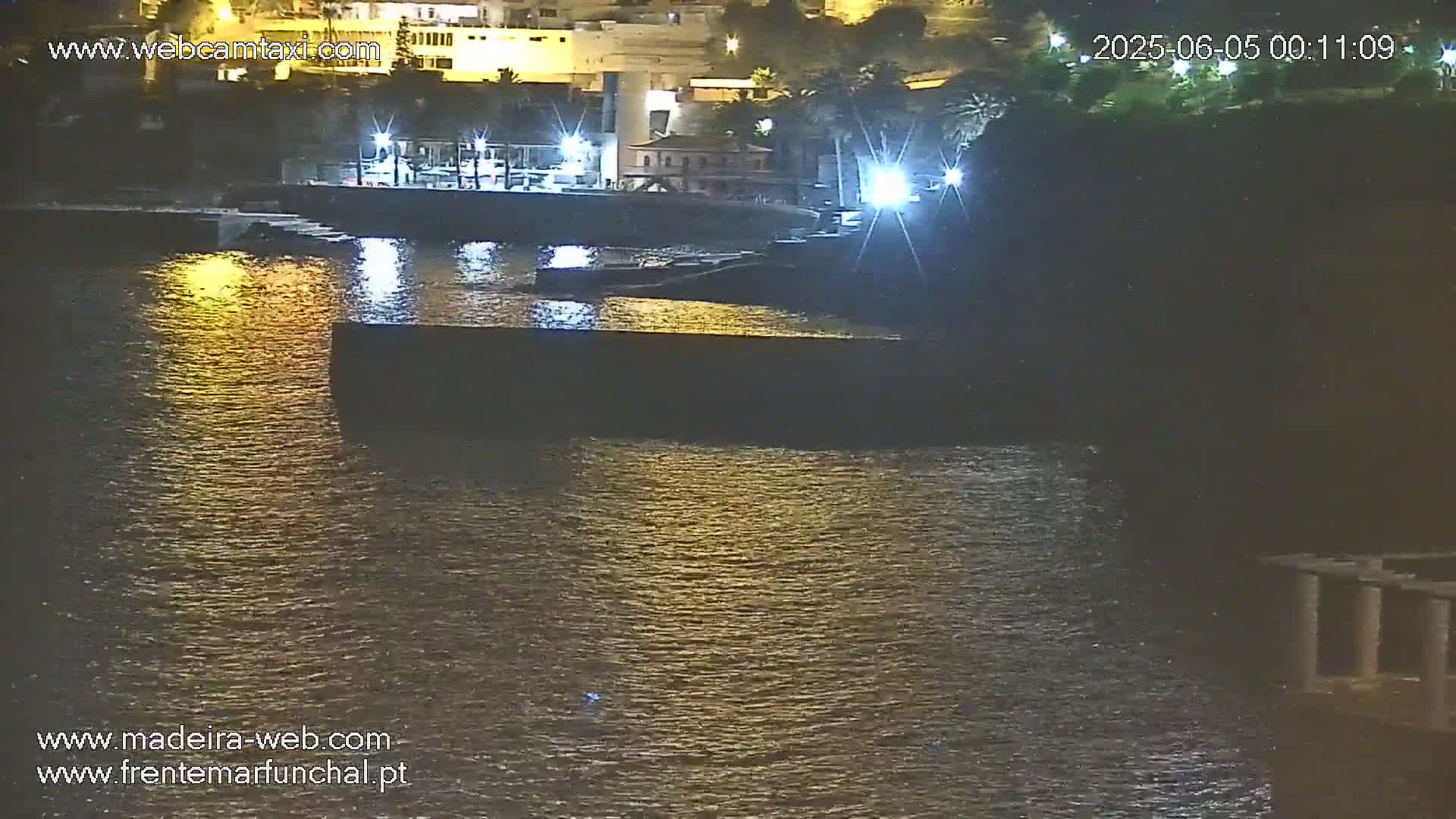 A nighttime view of a calm body of water reflecting lights from a nearby shoreline with buildings and vegetation.
