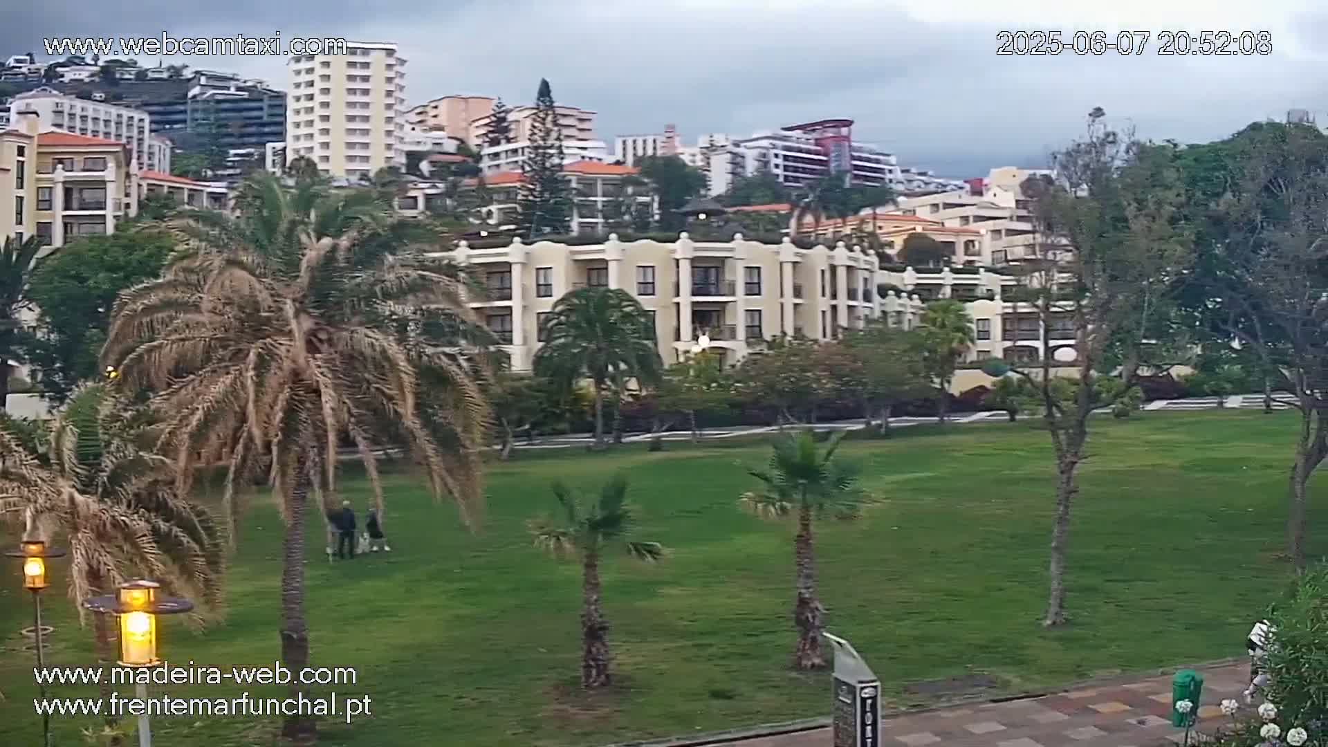 A grassy park with palm trees and a large beige building in the background, under an overcast sky.