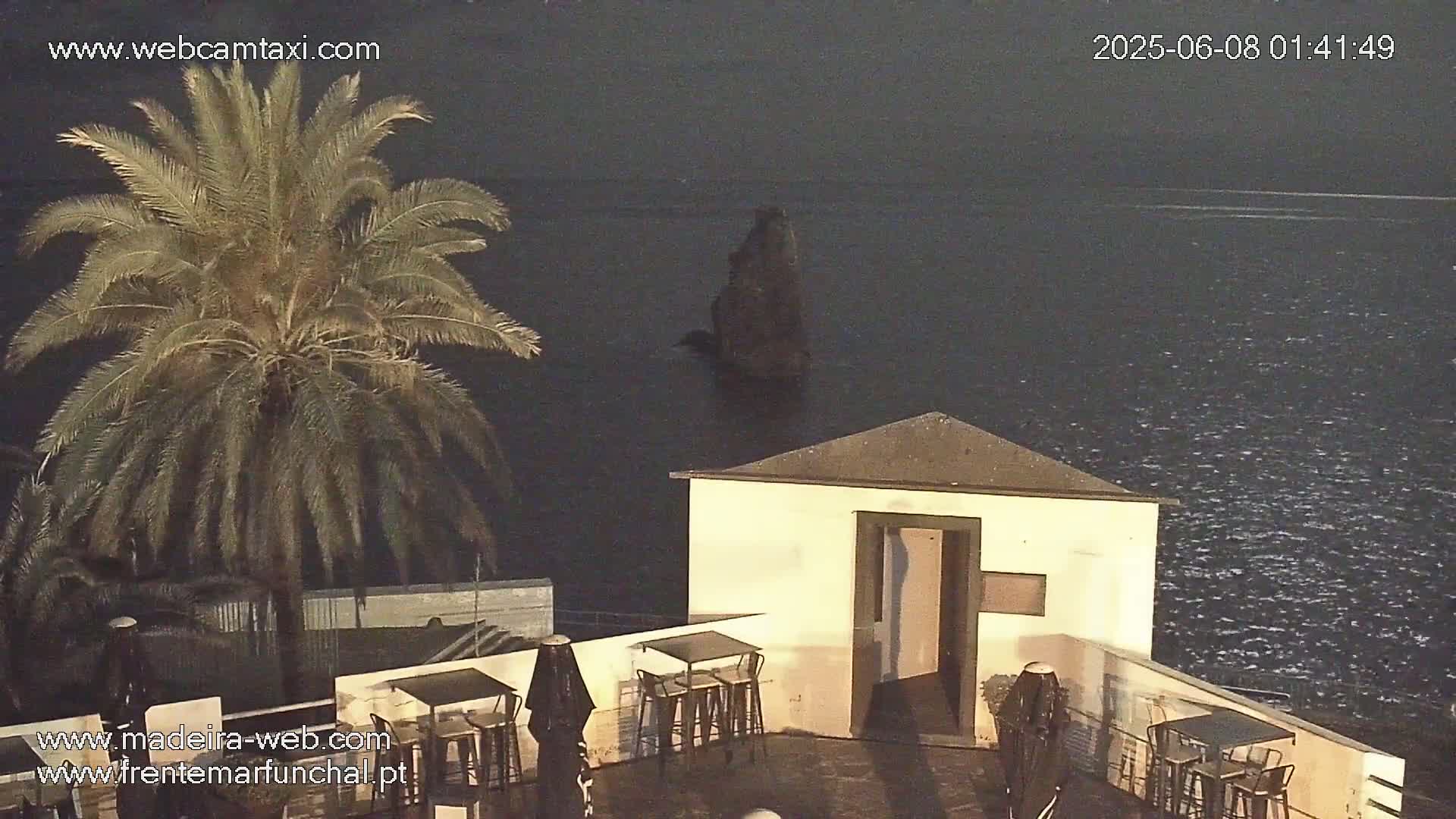 A palm tree stands beside a small, light-colored building with outdoor seating overlooking a dark, choppy ocean with a lone rock formation visible in the distance.