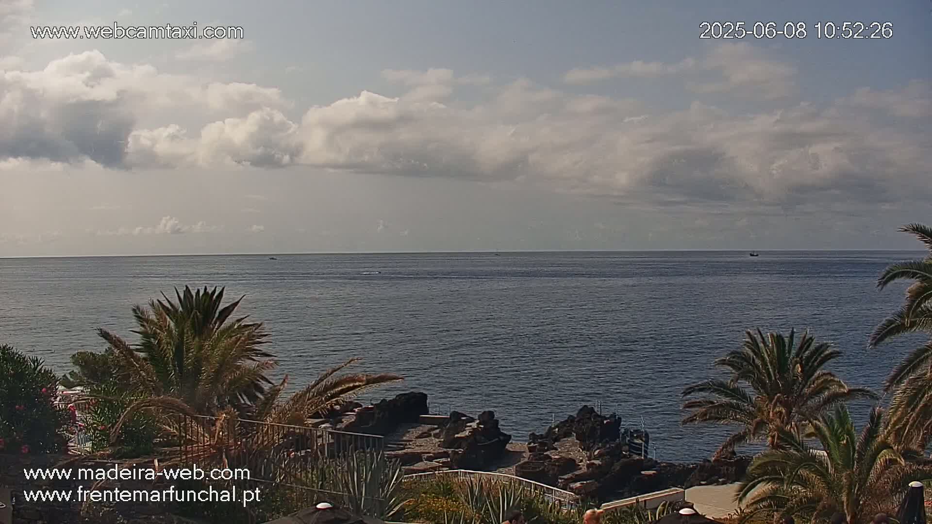 A partly cloudy day reveals a calm ocean, partially obscured by palm trees lining a rocky shore.