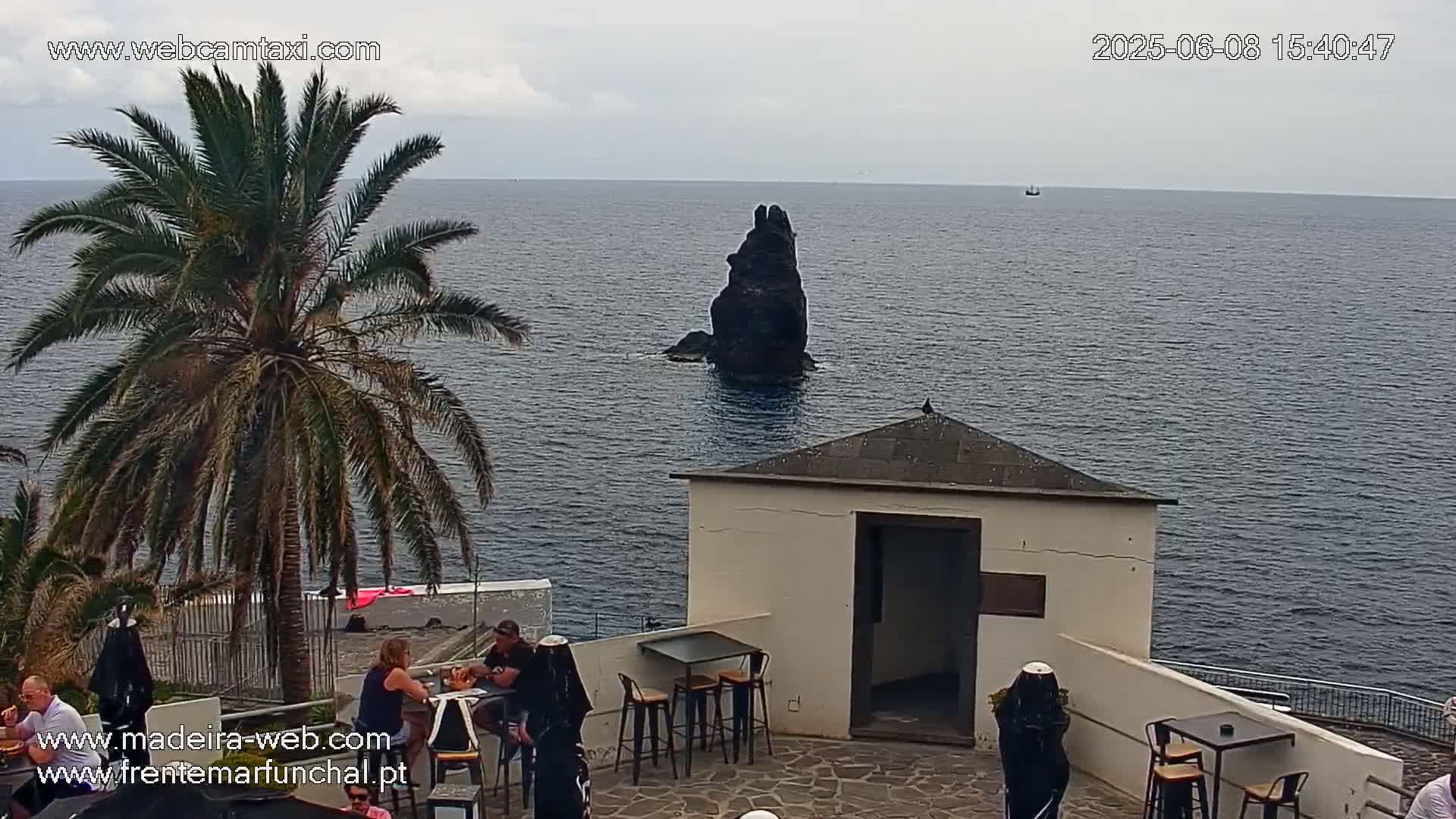 A seaside patio with a small building, several people sitting at tables, a palm tree, and a dark rock formation in the ocean under an overcast sky.
