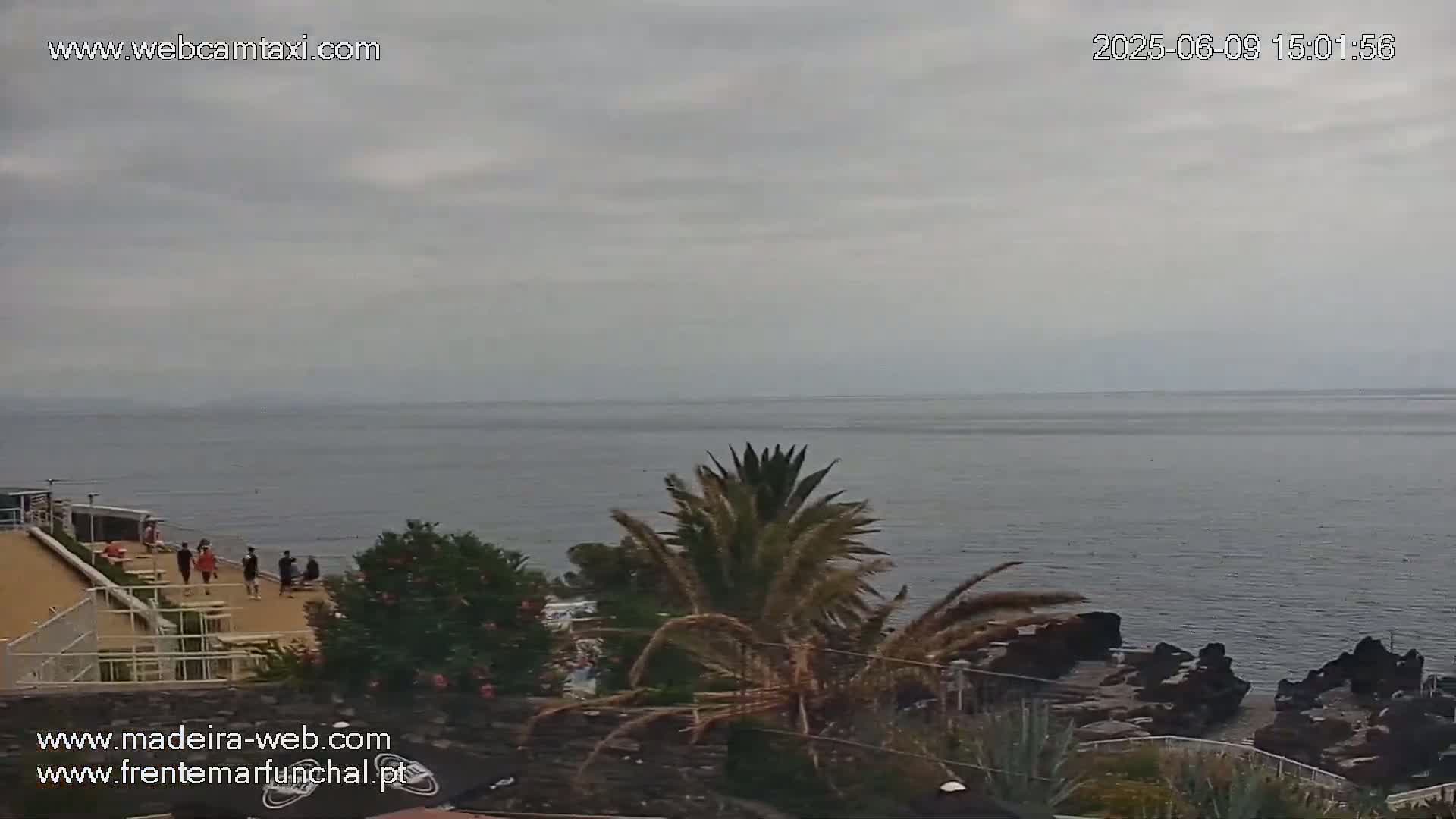 A mostly cloudy day overlooks a calm ocean, with several people gathered on a paved area near a rocky coastline and palm trees.