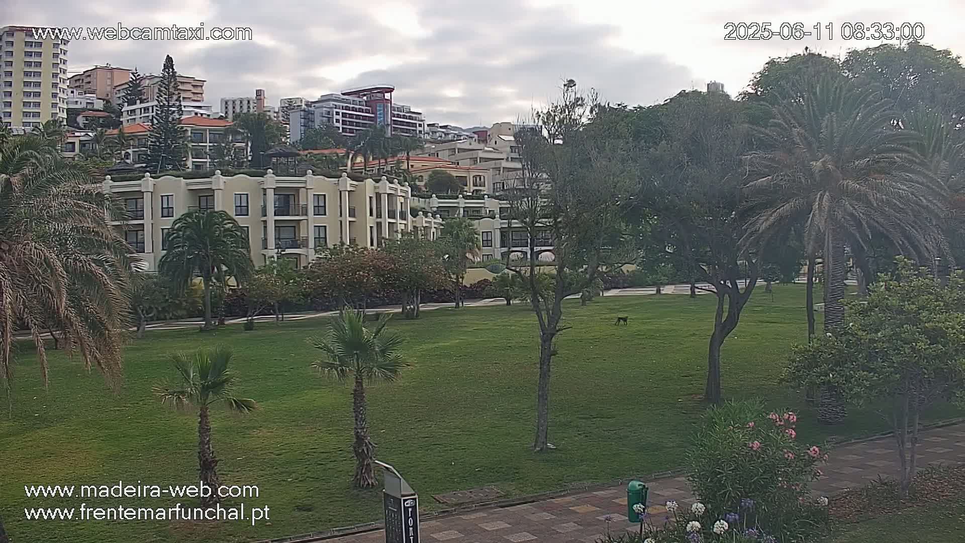 A grassy park with palm trees and a multi-story hotel in the background under a cloudy sky.