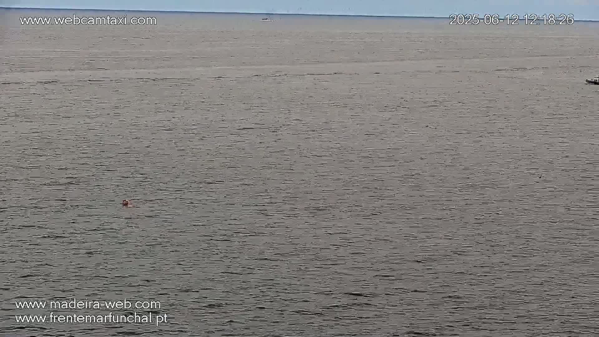 A calm, gray body of water stretches to the horizon under a mostly clear sky, with a single person visible in the distance.