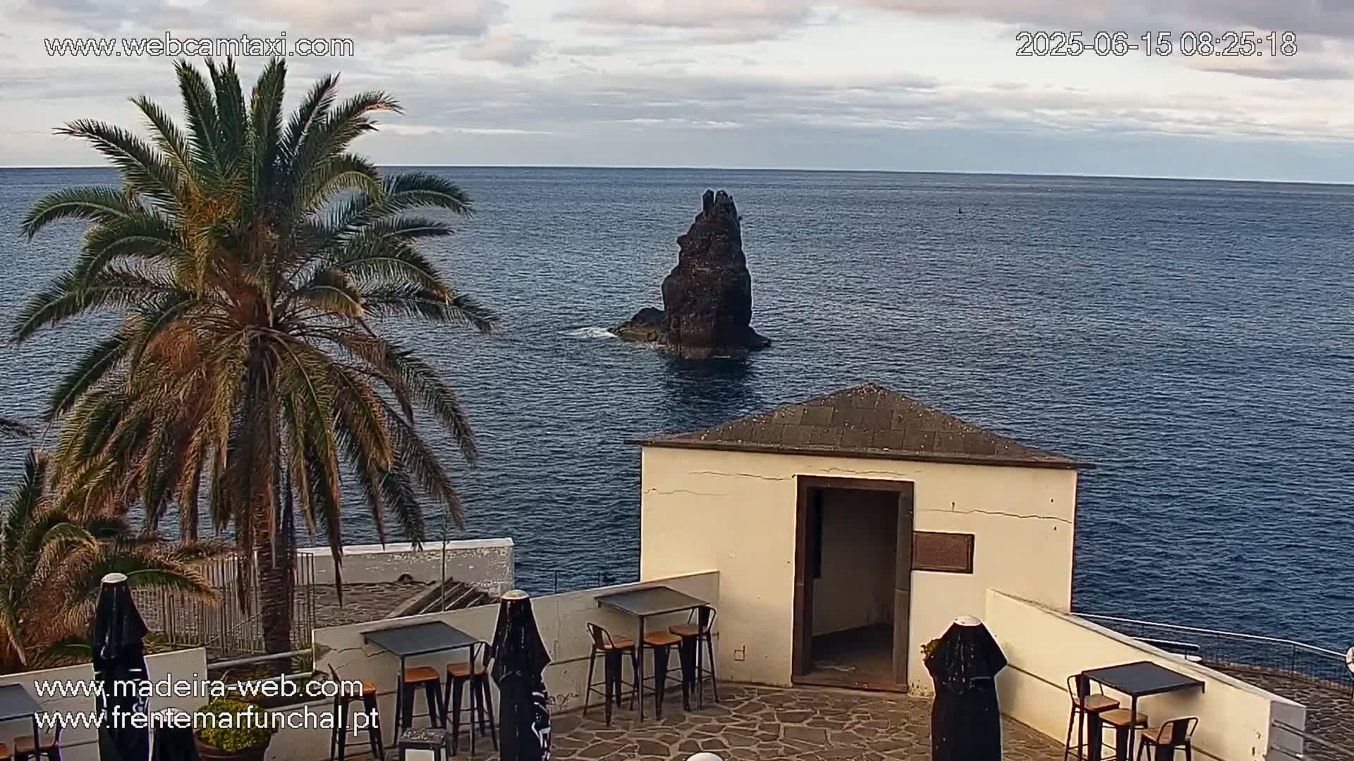 A palm tree stands near a small, light-colored building overlooking a calm, dark-blue ocean with a lone, dark rock formation in the distance under a partly cloudy sky.