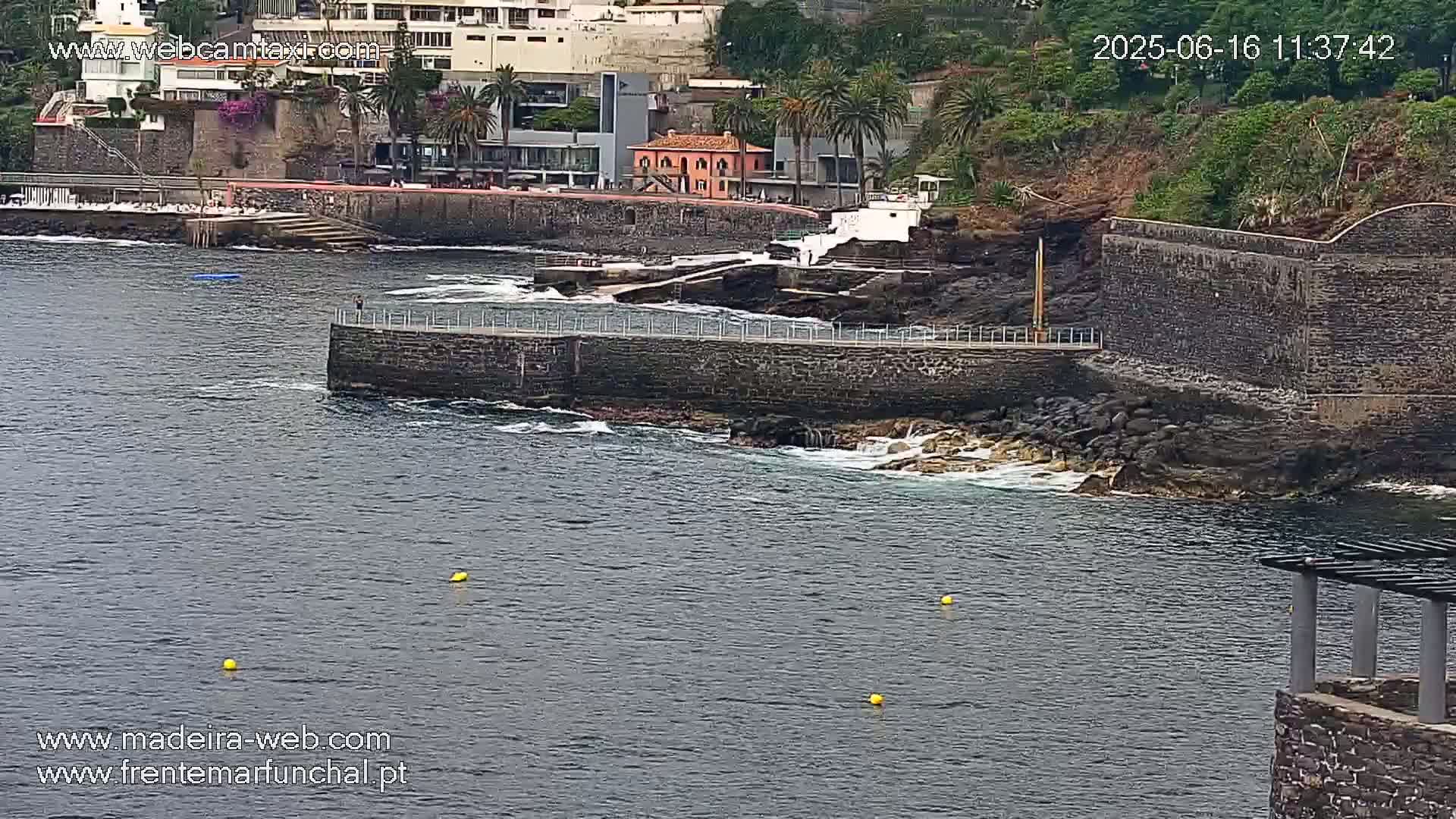 A stone seawall extends into a calm, dark-colored body of water near a coastline with buildings and palm trees.