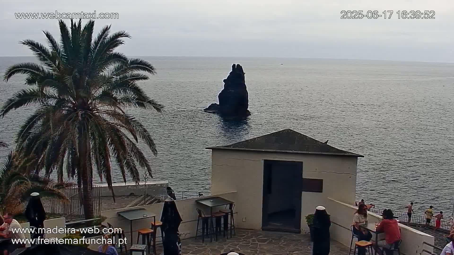 An overcast day shows a rocky outcropping in dark water, viewed from a patio with people sitting at tables near a small building and a palm tree.