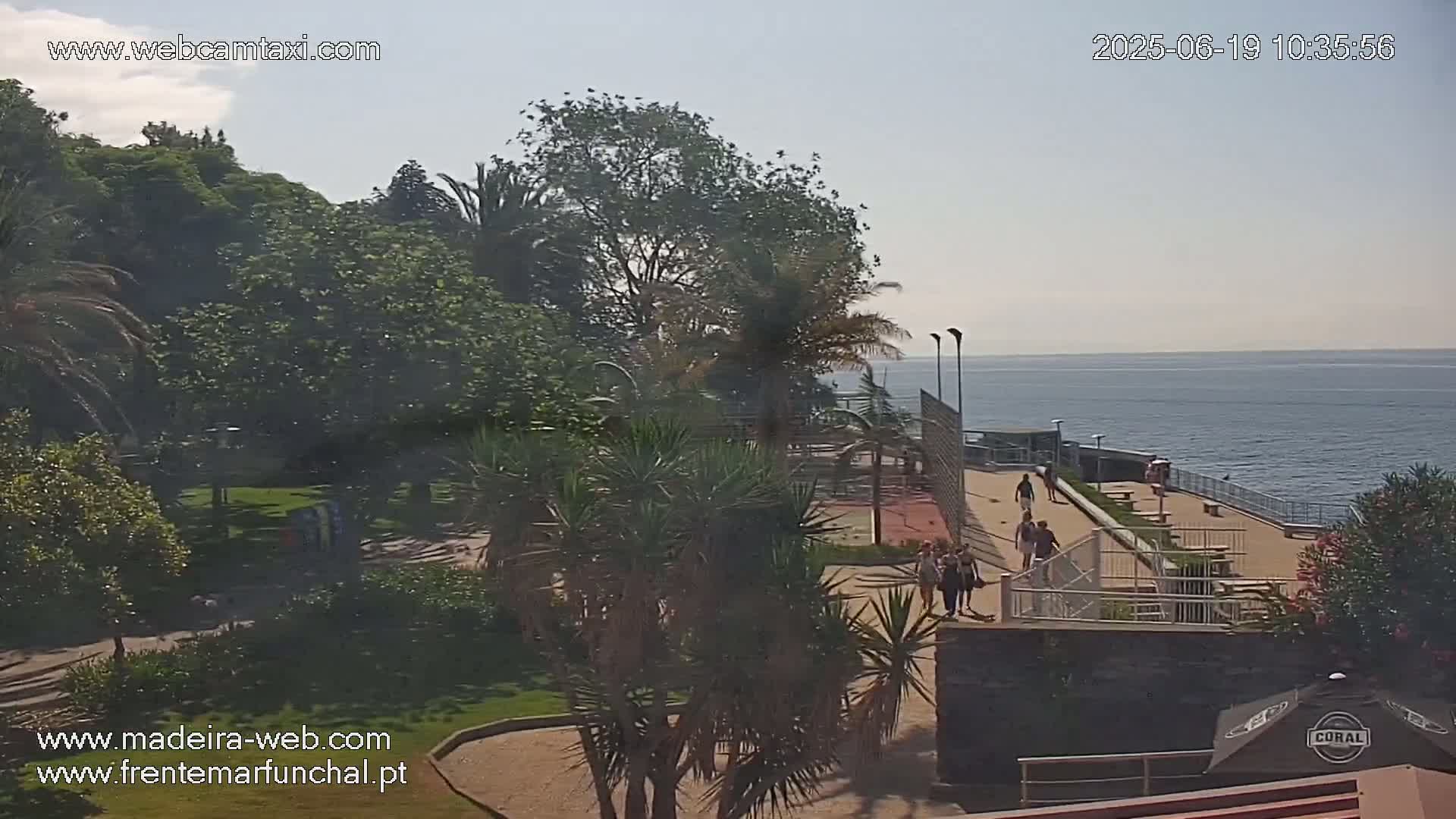 A seaside park with lush green trees and palm trees, a paved walkway with a few people walking, and a calm ocean under a clear sky.