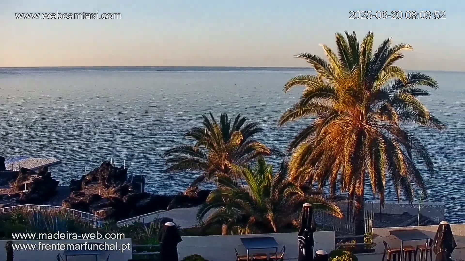 A calm ocean is visible from a vantage point overlooking dark rocks and palm trees on a clear morning.