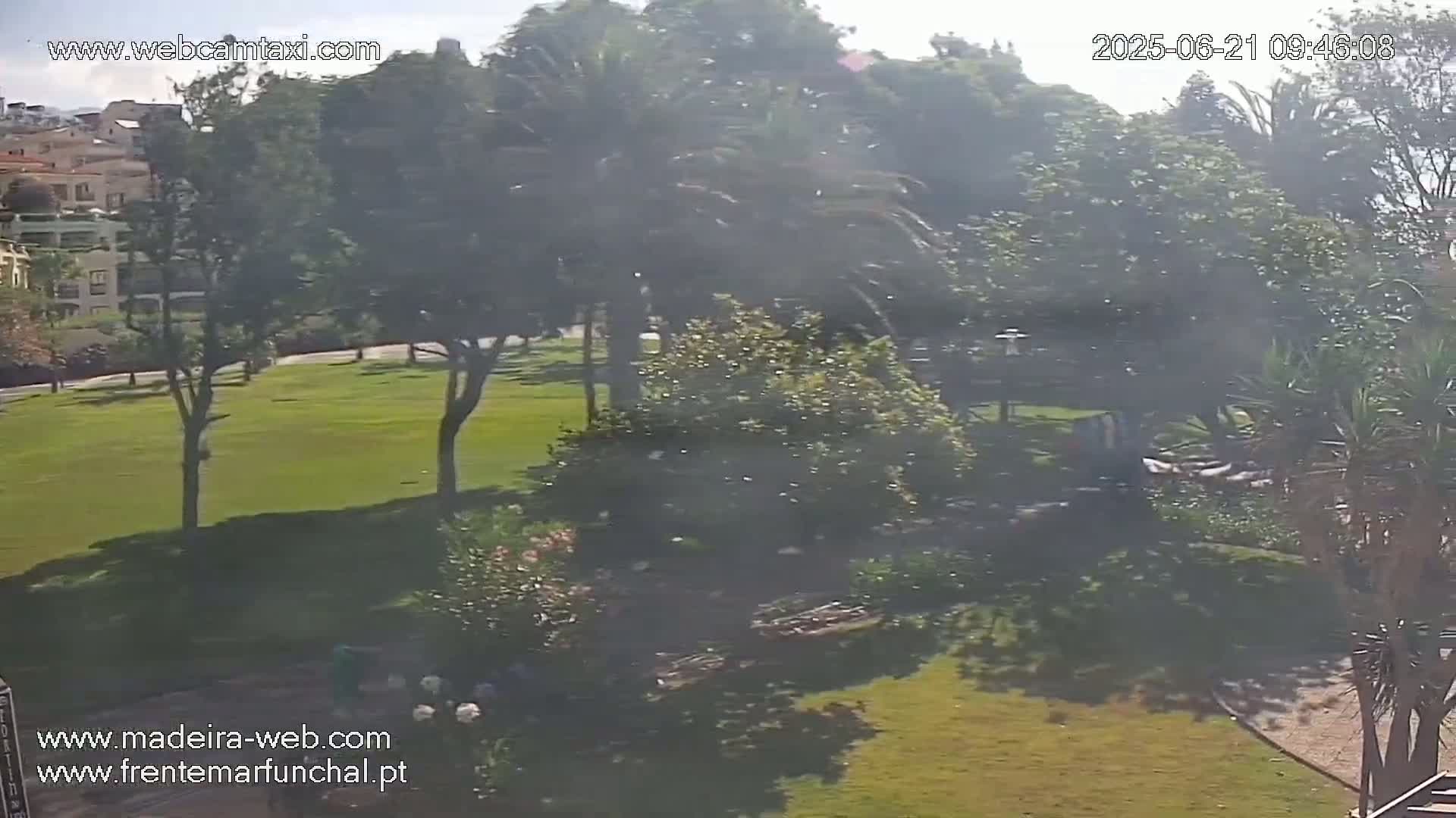 A sunny day reveals a lush green lawn bordered by leafy trees and flowering bushes, with buildings visible in the distance.